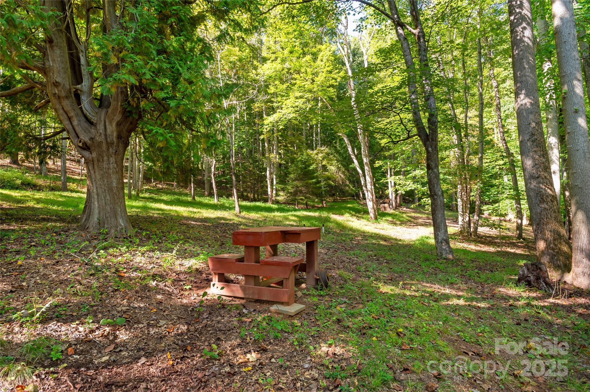 116 Sams Branch Road — Candler