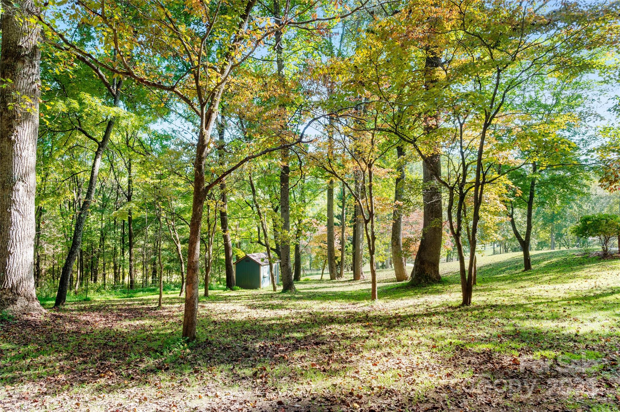 116 Sams Branch Road — Candler