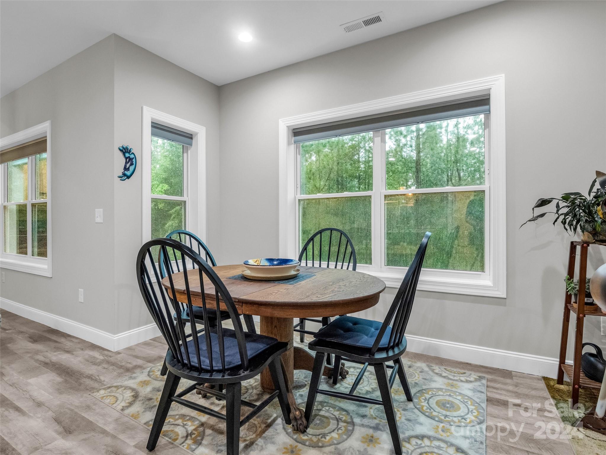 10305 Green River Cove Road — Saluda