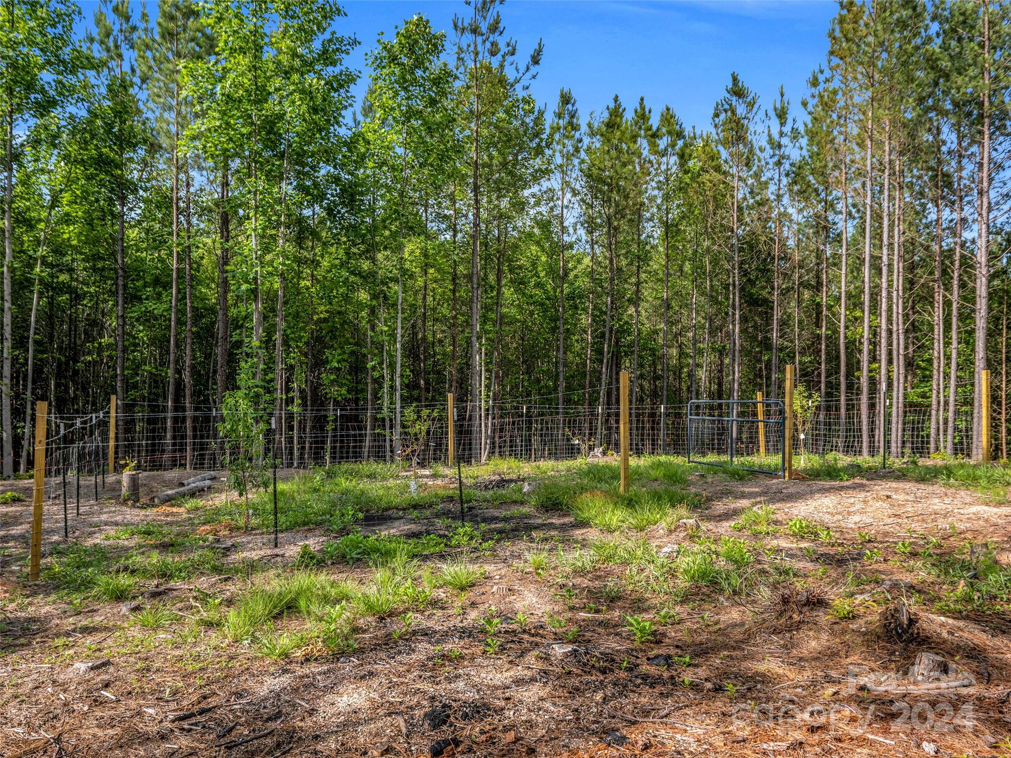 10305 Green River Cove Road — Saluda