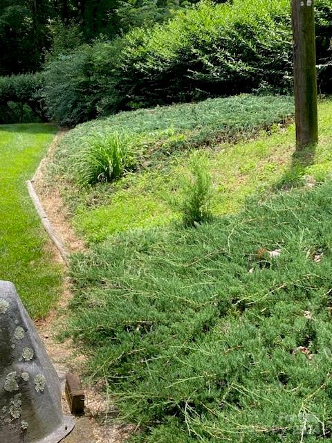 246 HEMLOCK Lane — Moravian Falls