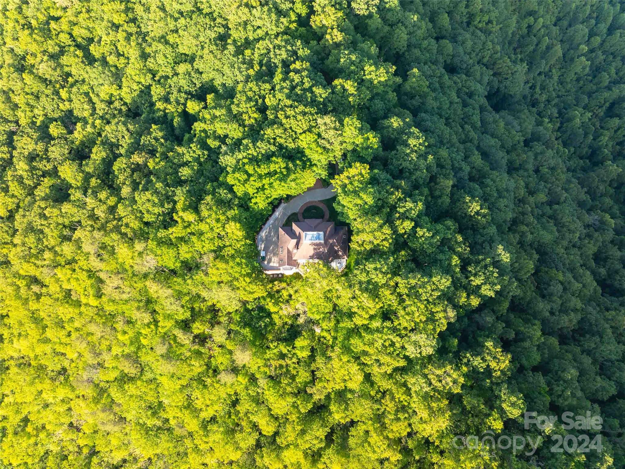 1767 Ridge Way Street — Sylva