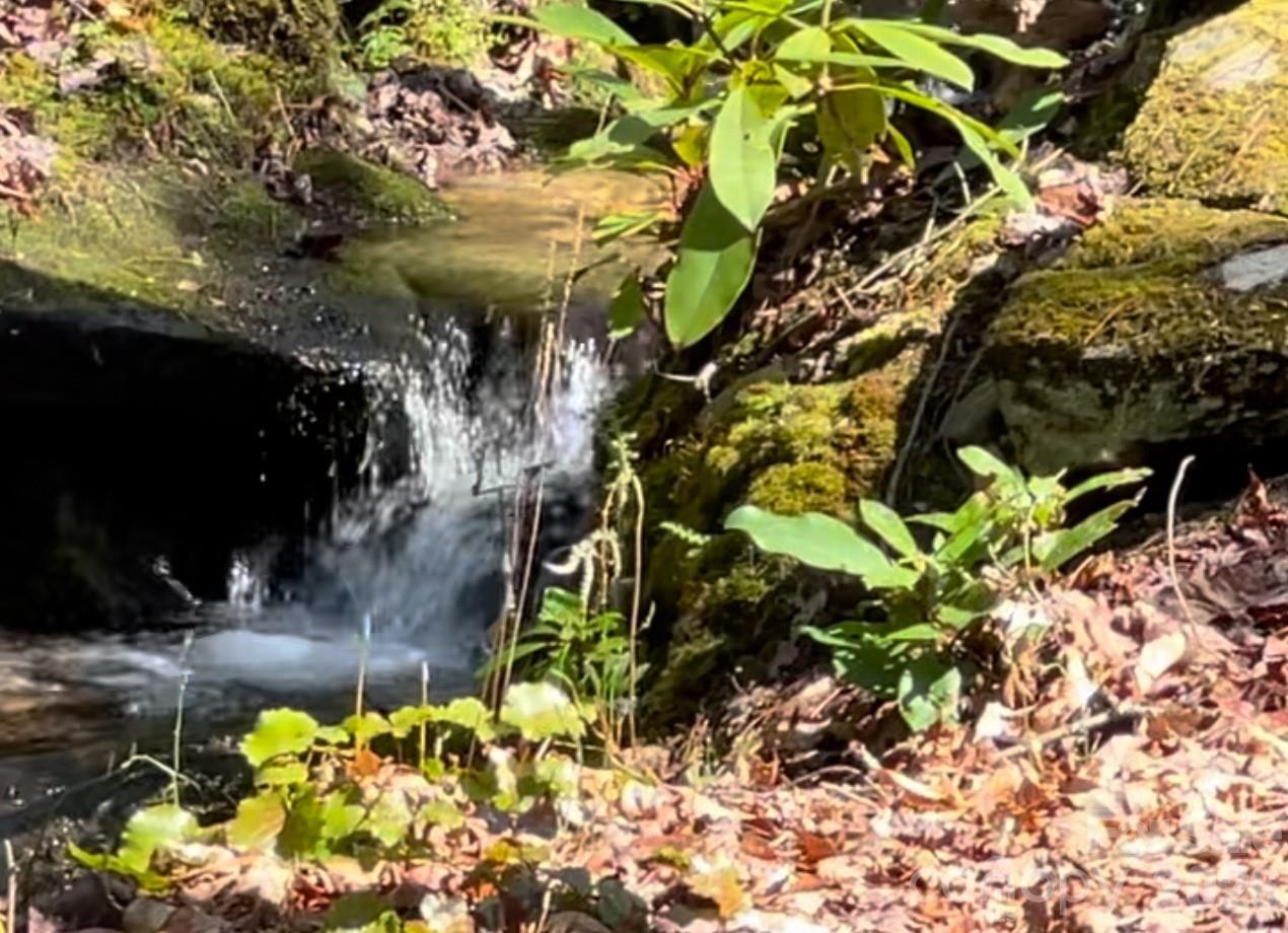 6 Majestic Trace — Hendersonville