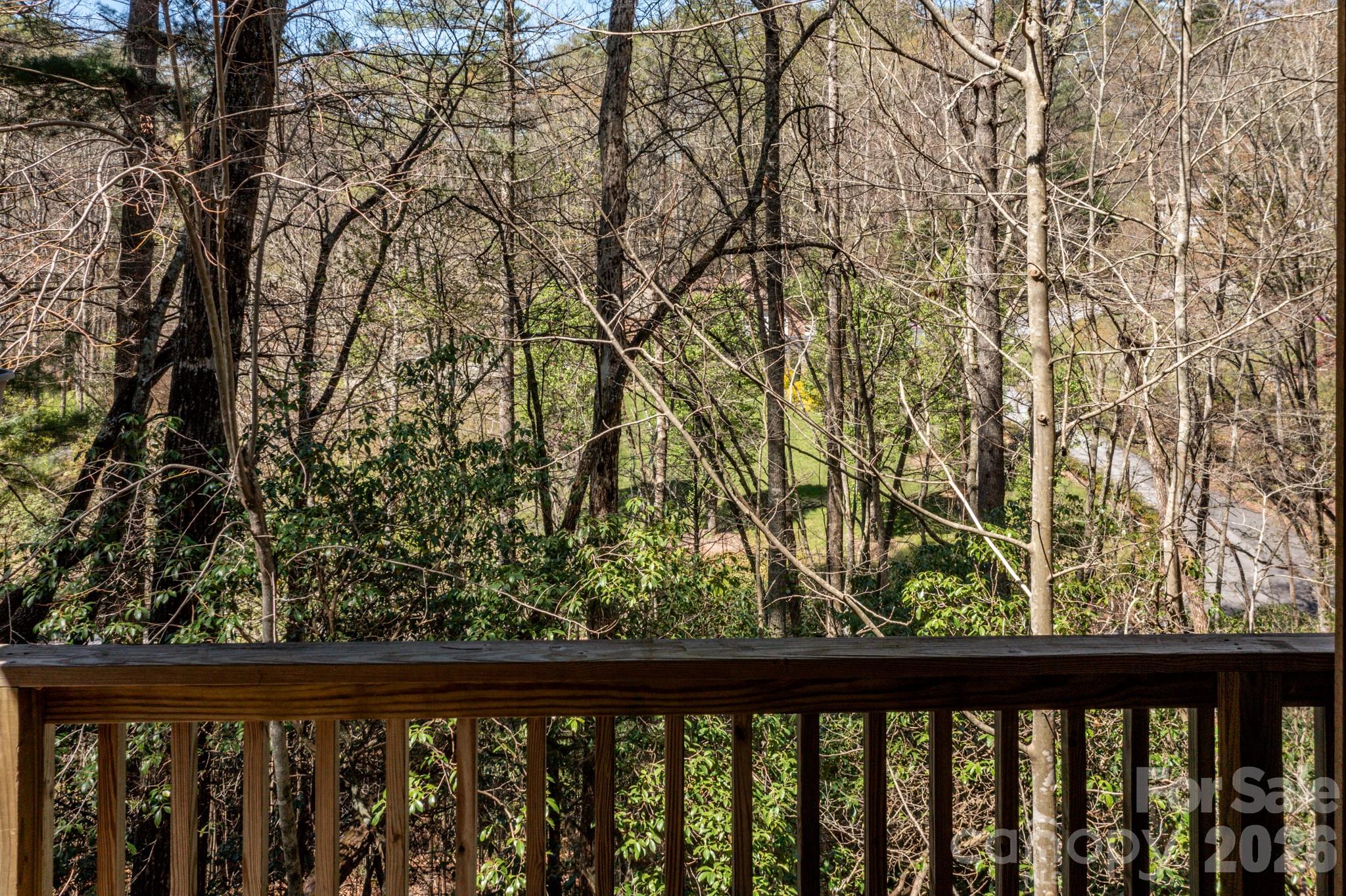 6 Majestic Trace — Hendersonville