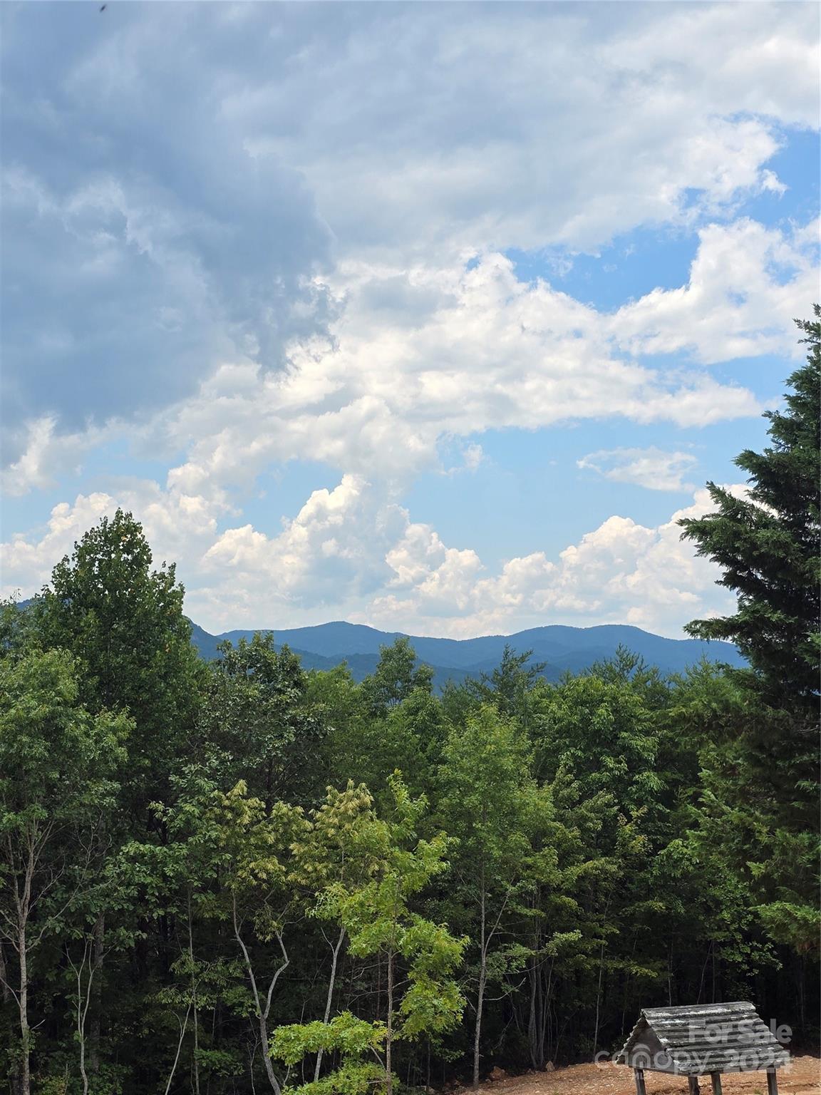 290 Boland Drive — Lake Lure