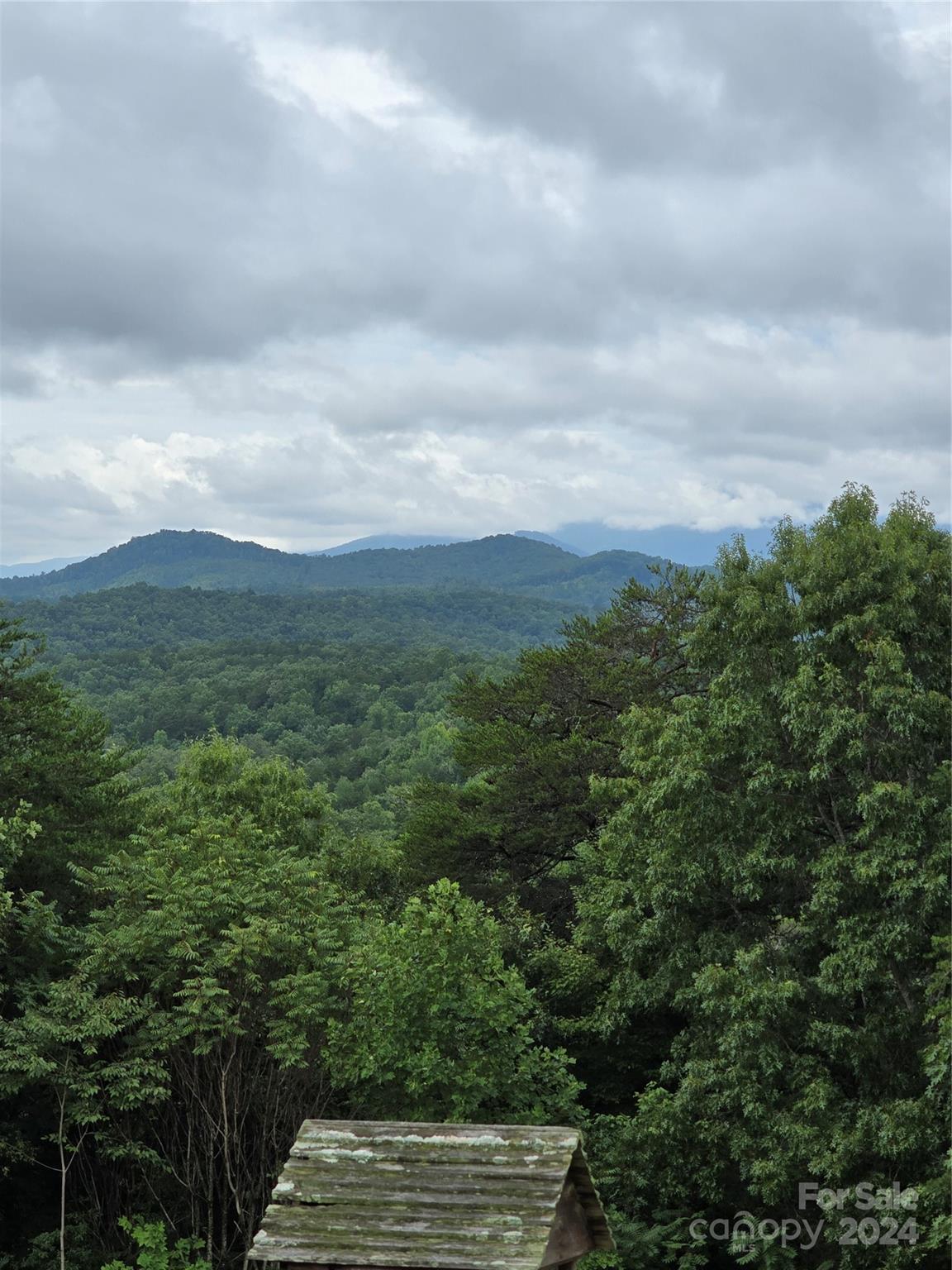 290 Boland Drive — Lake Lure
