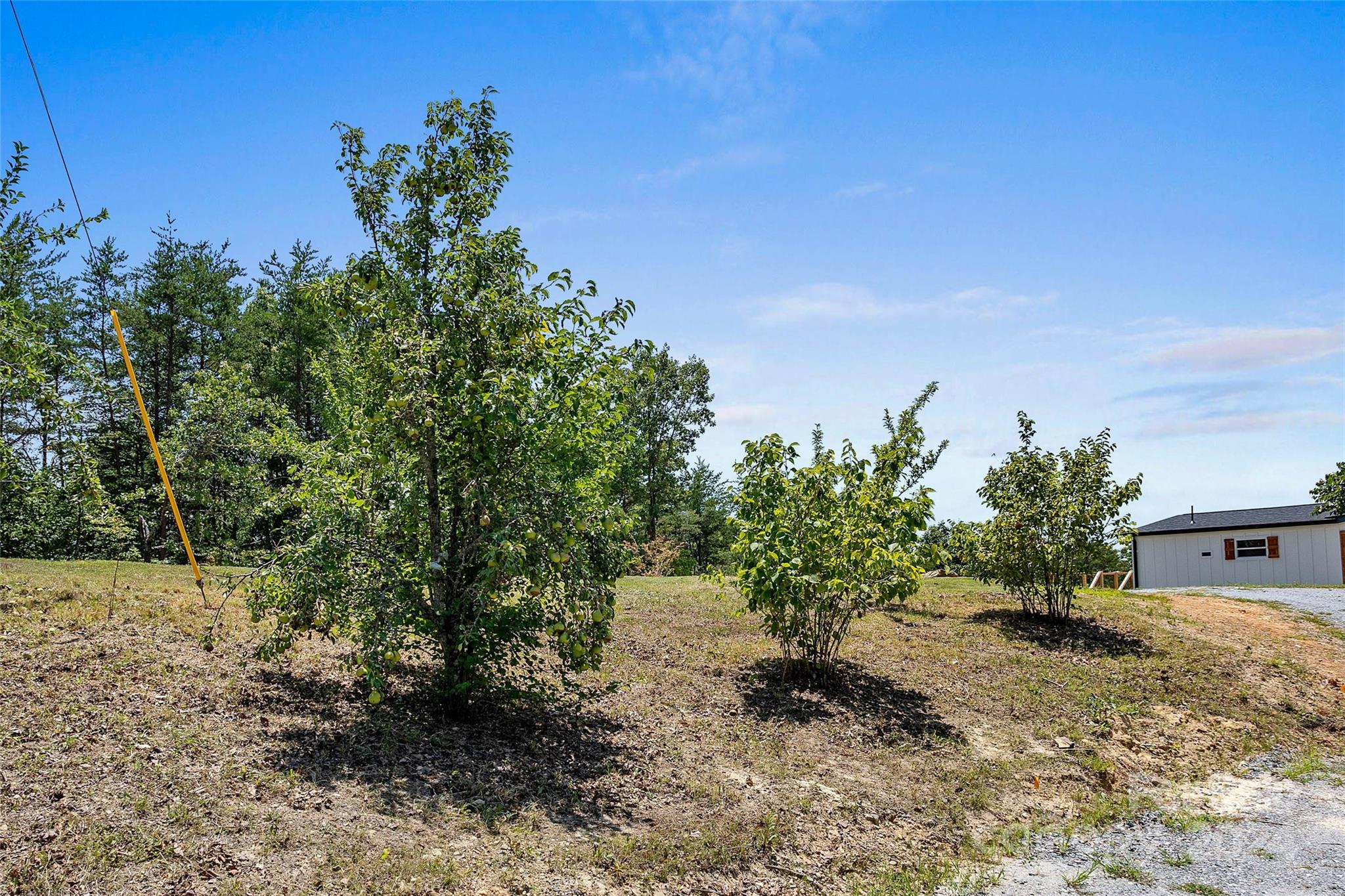 290 Boland Drive — Lake Lure