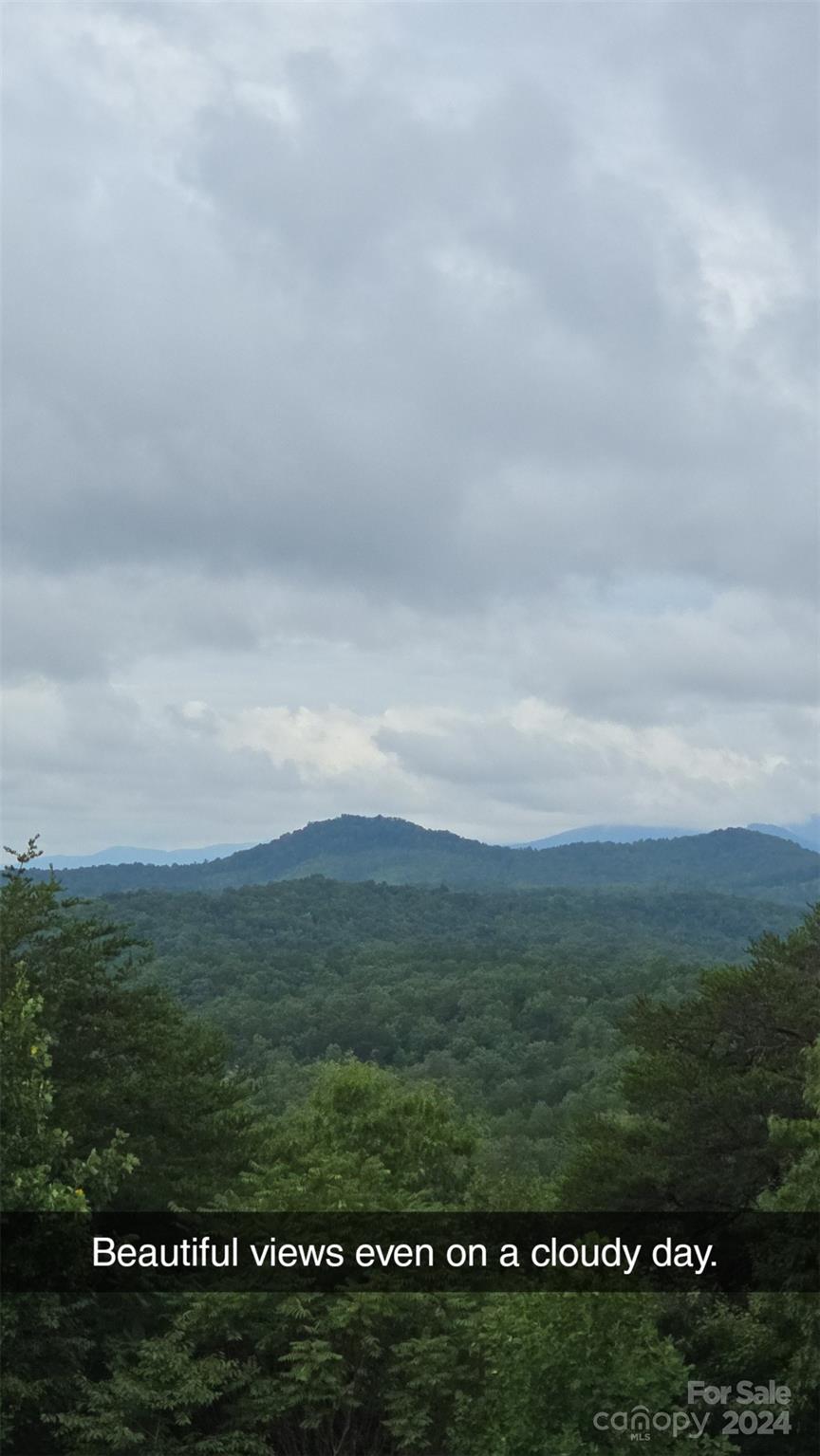290 Boland Drive — Lake Lure