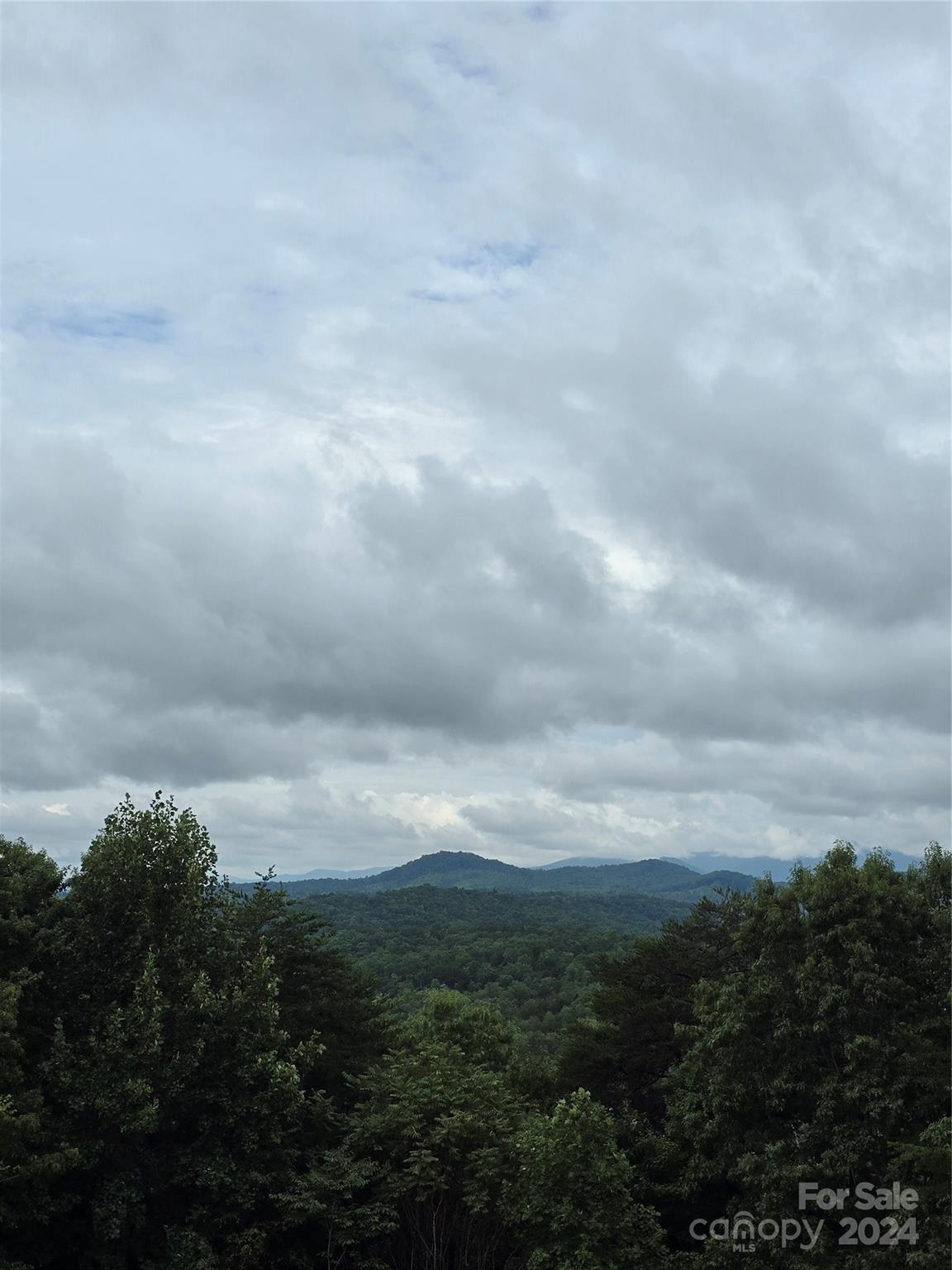 290 Boland Drive — Lake Lure