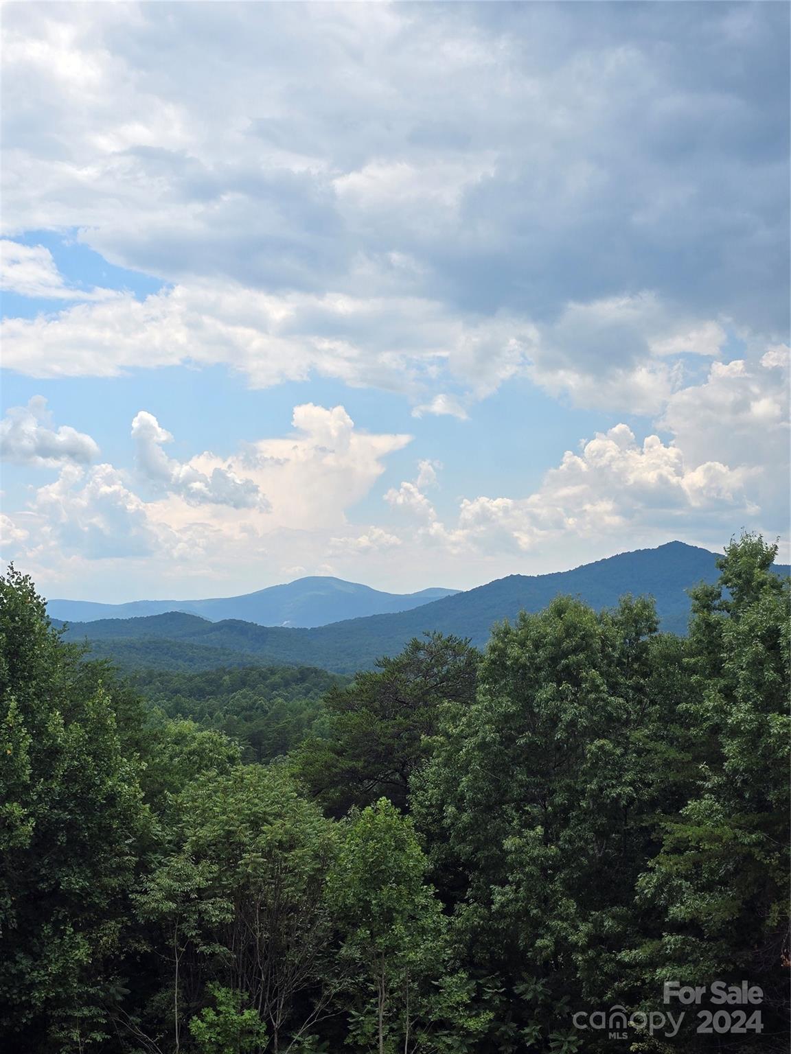 290 Boland Drive — Lake Lure