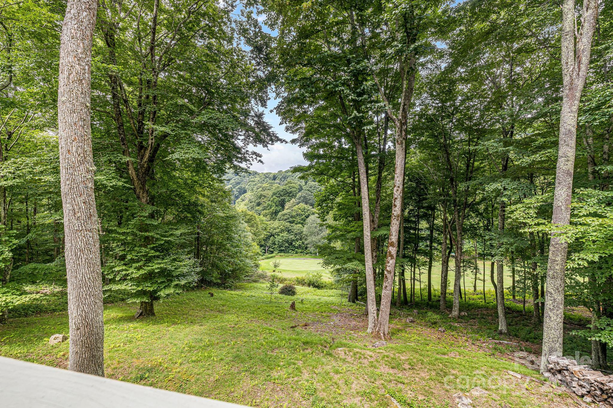 73 Oak Ridge Court #698 & 699 — Mars Hill