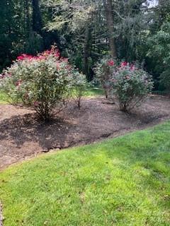432 E MAGNOLIA Road — North Wilkesboro