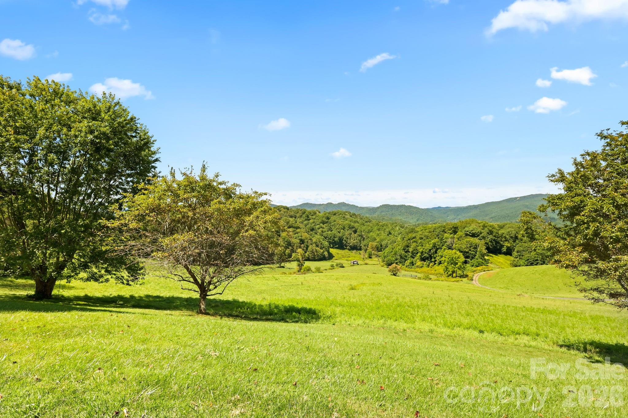 840 Ed Williams Road — Zionville