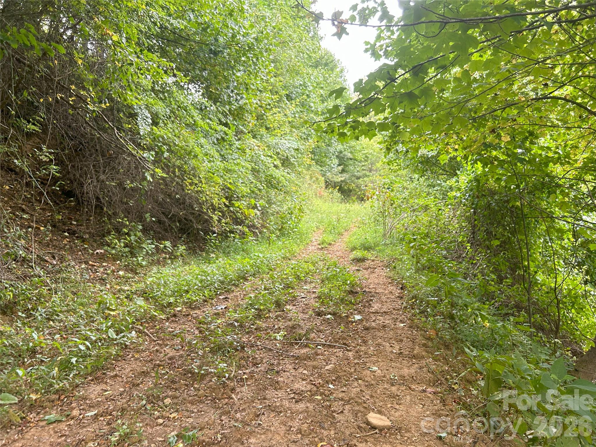 840 Ed Williams Road — Zionville