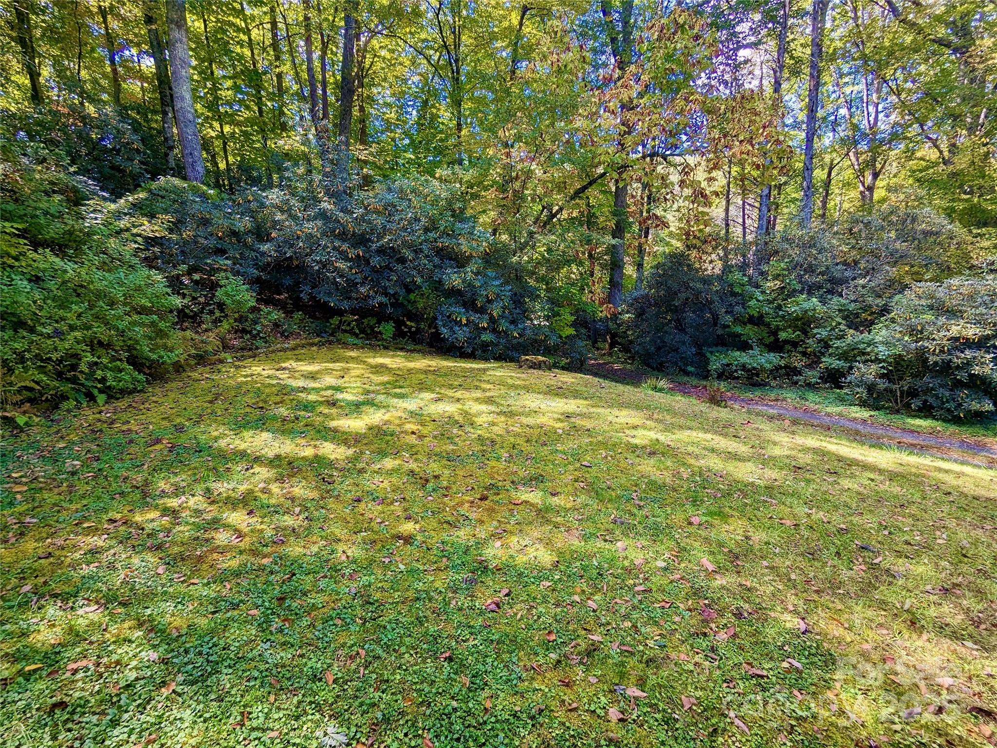 46 Tree Farm Road — Spruce Pine