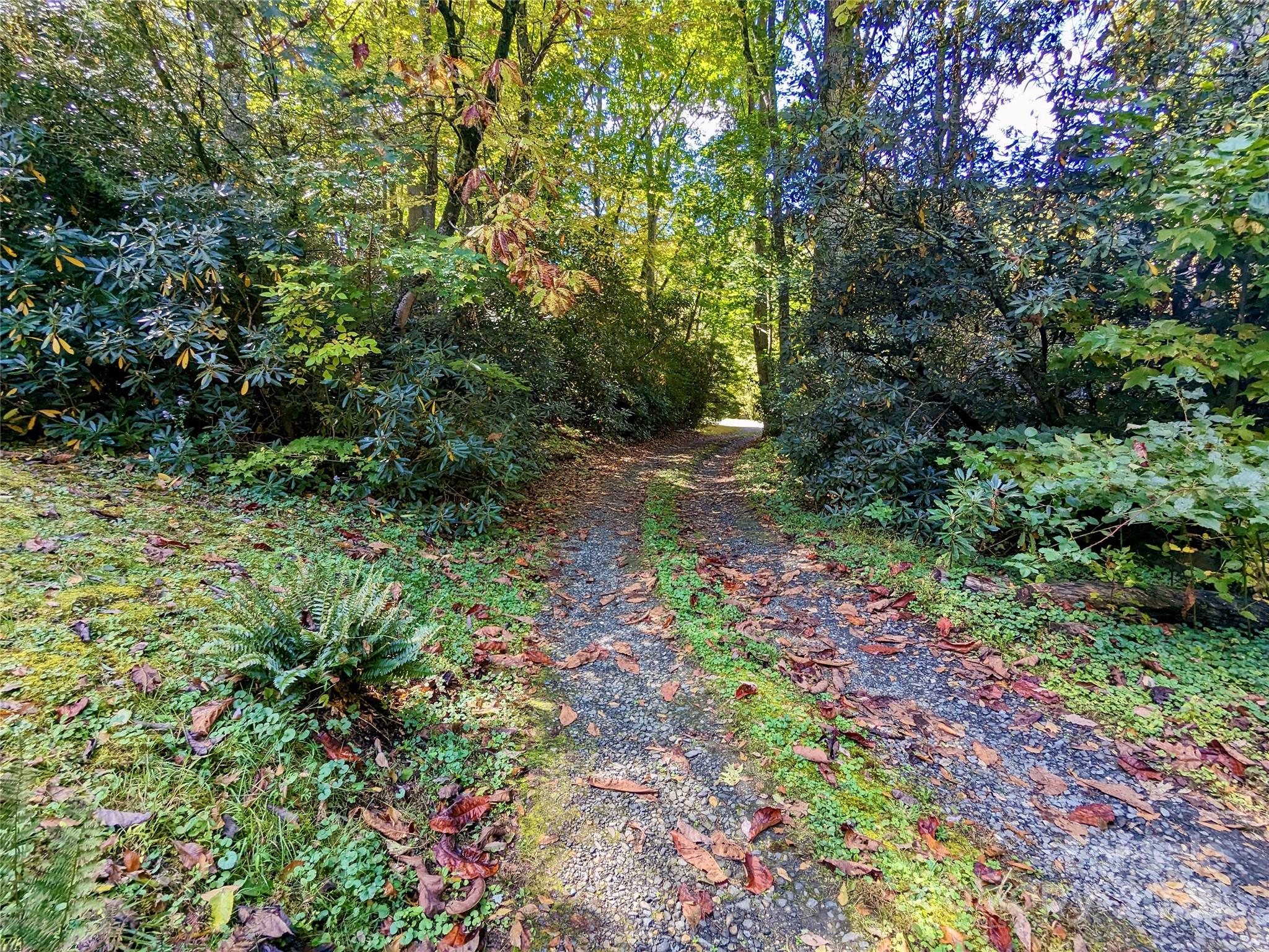 46 Tree Farm Road — Spruce Pine