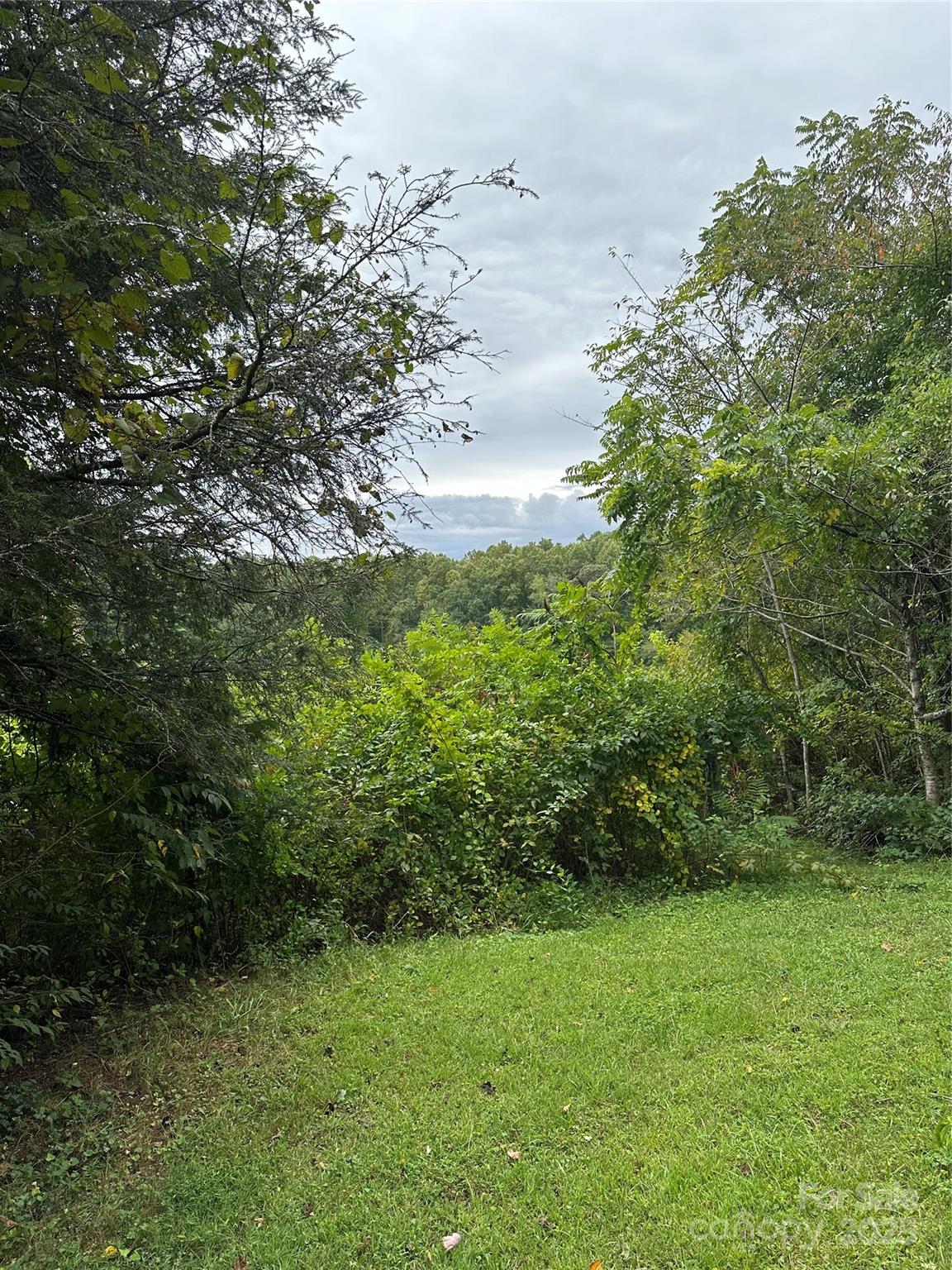 112 and 154 Merri Drive — Hendersonville