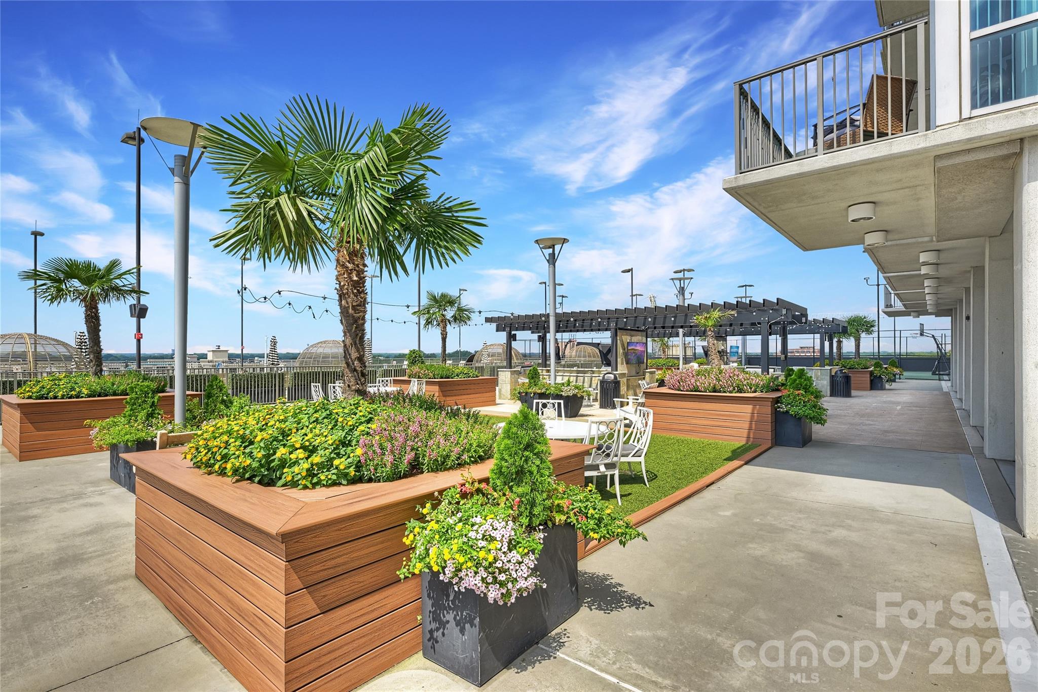 215 N Pine Street #3705 — Charlotte