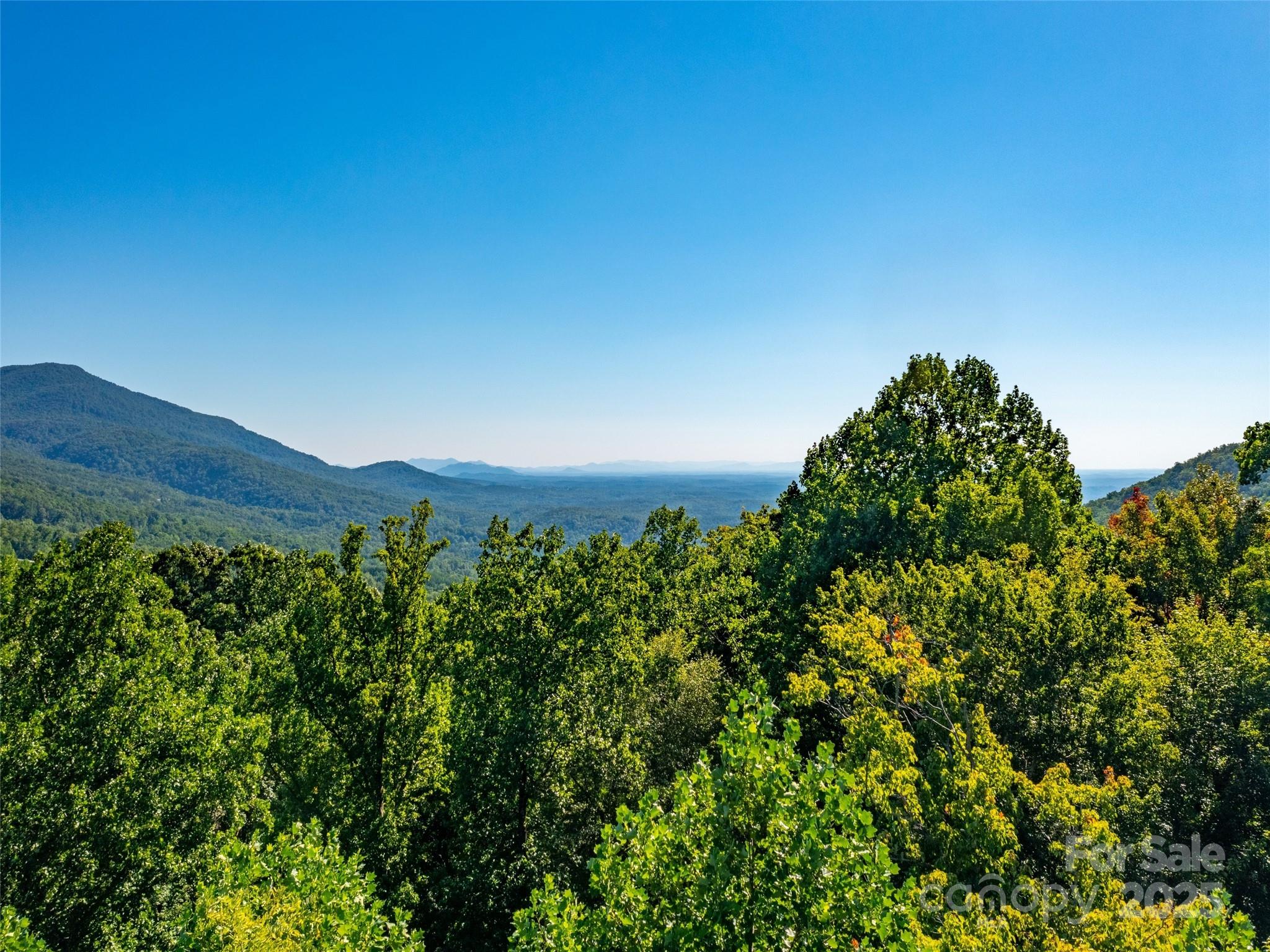 2140 Harm Creek Loop — Mill Spring