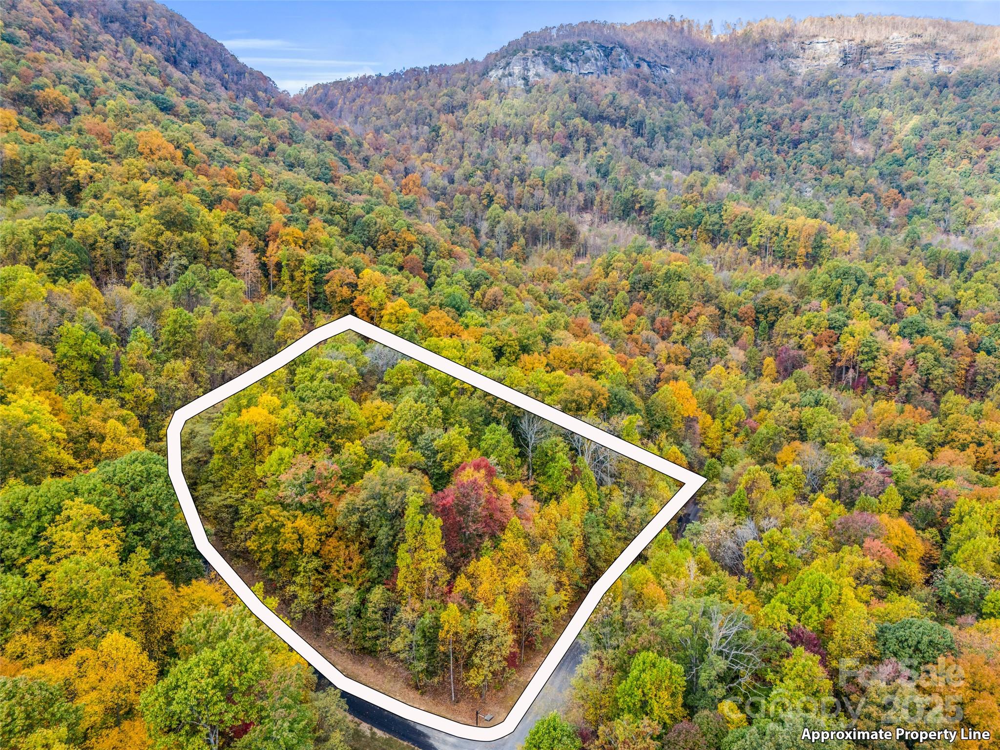 2140 Harm Creek Loop — Mill Spring