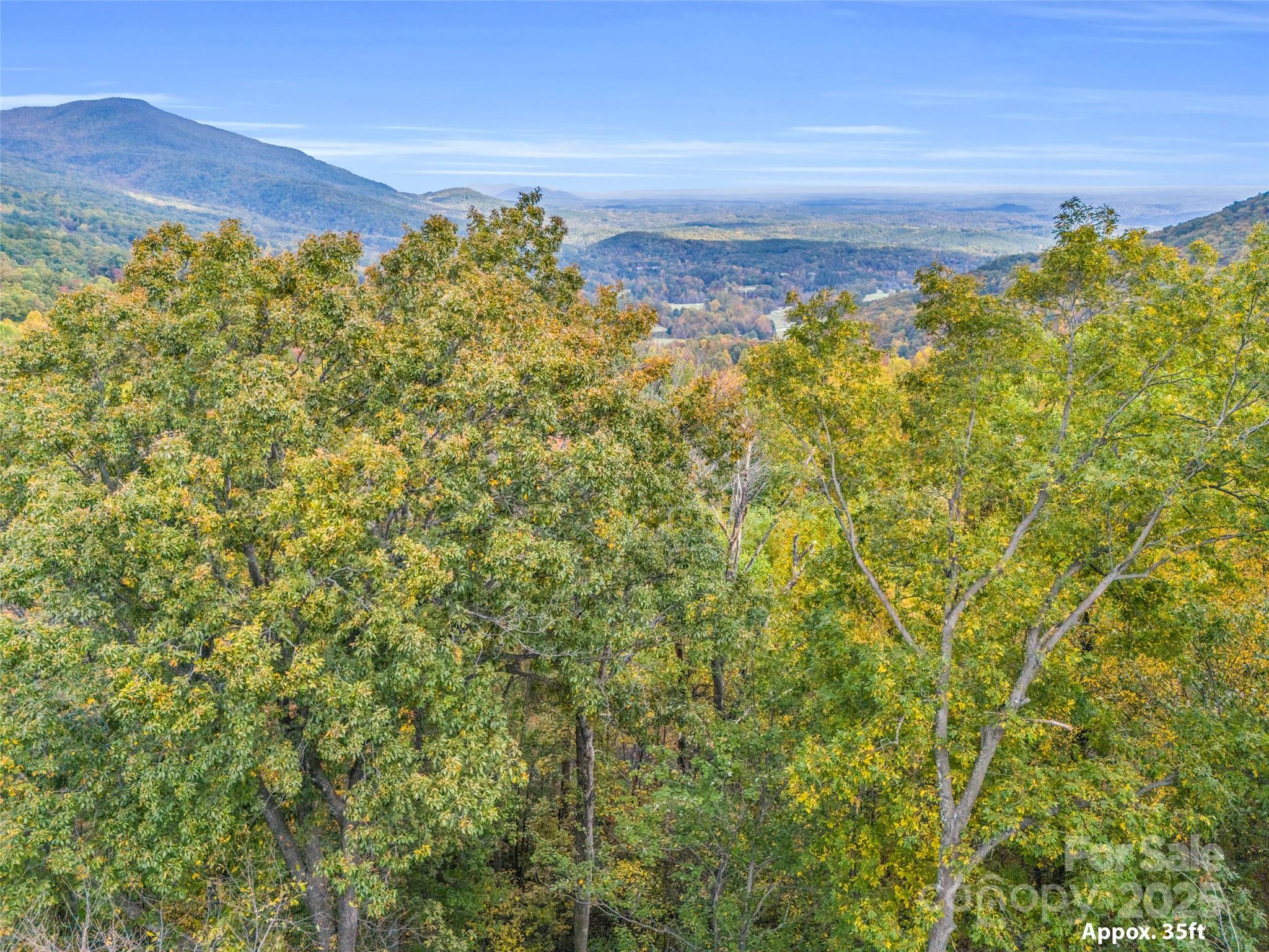 2140 Harm Creek Loop — Mill Spring