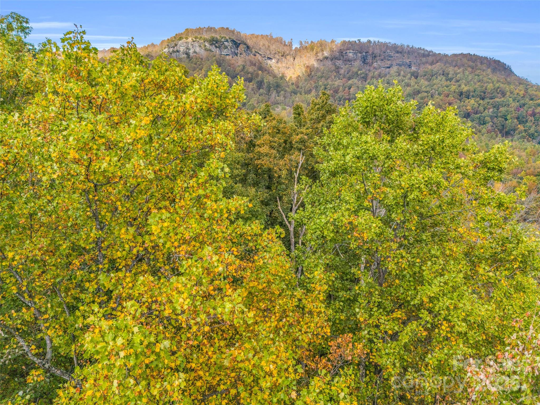 2140 Harm Creek Loop — Mill Spring