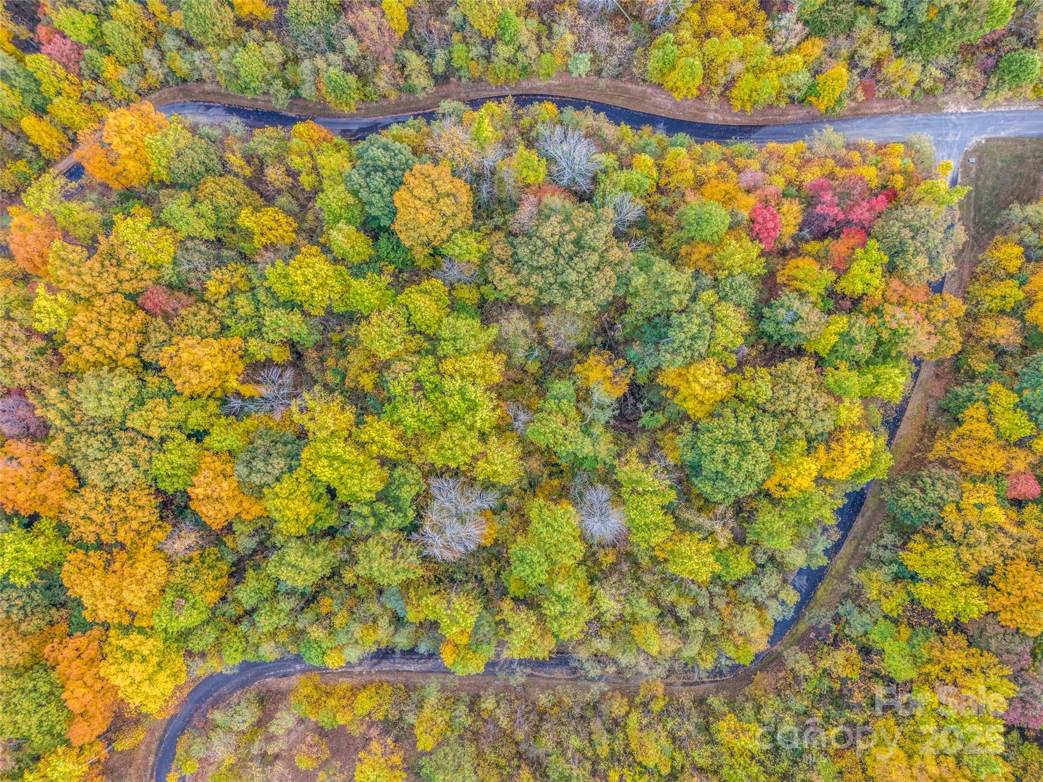 2140 Harm Creek Loop — Mill Spring