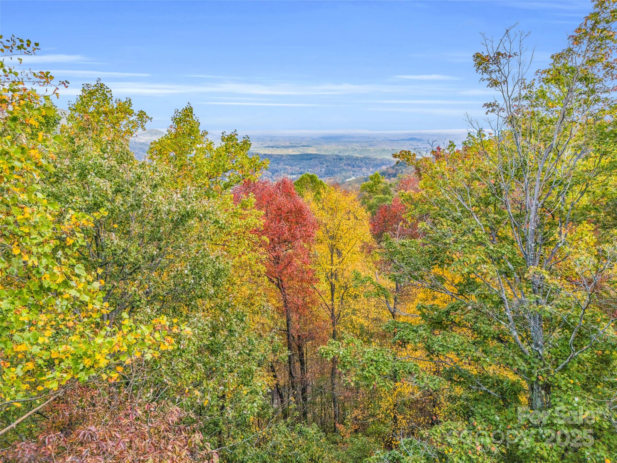 2140 Harm Creek Loop — Mill Spring