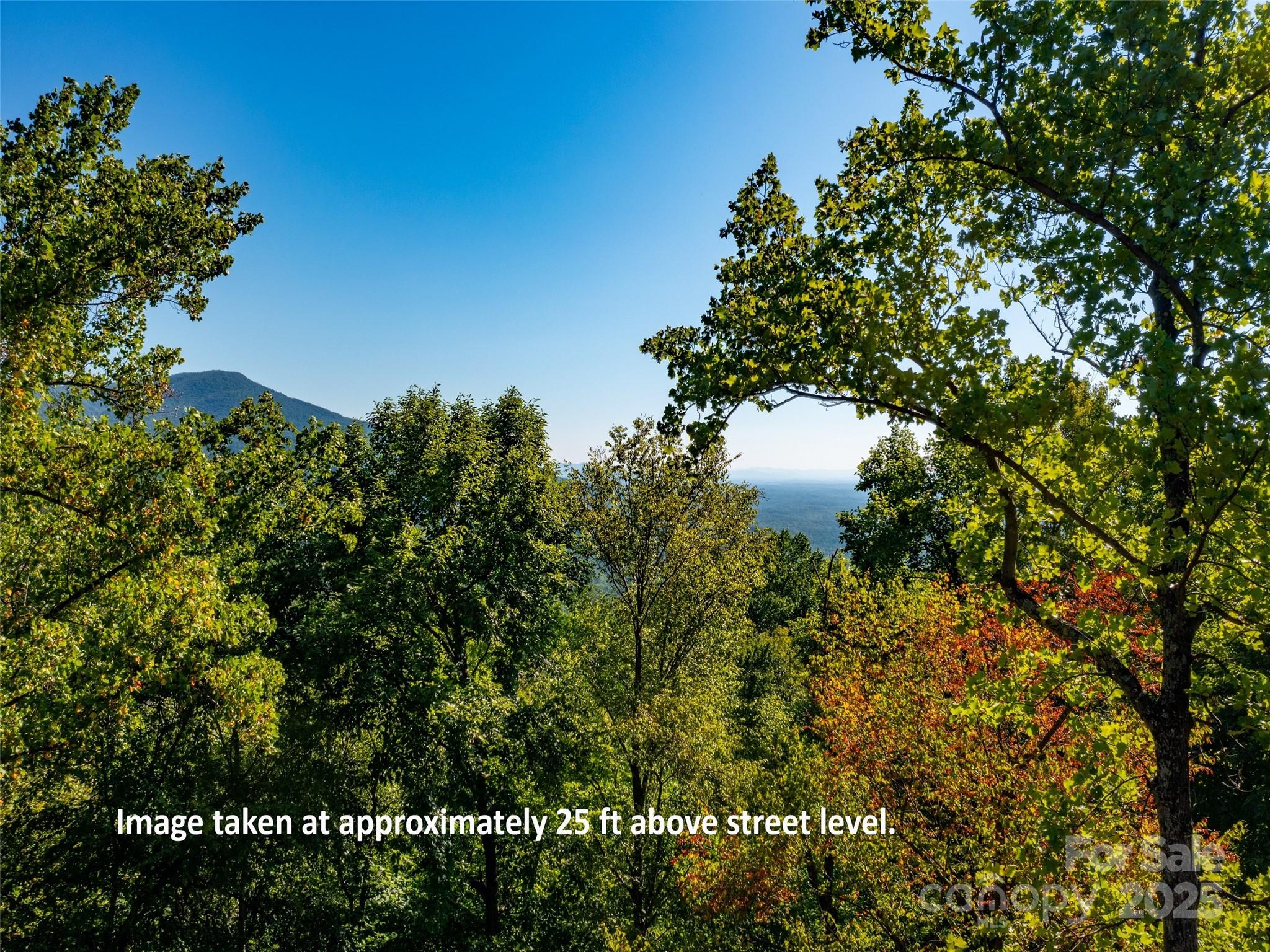 2140 Harm Creek Loop — Mill Spring