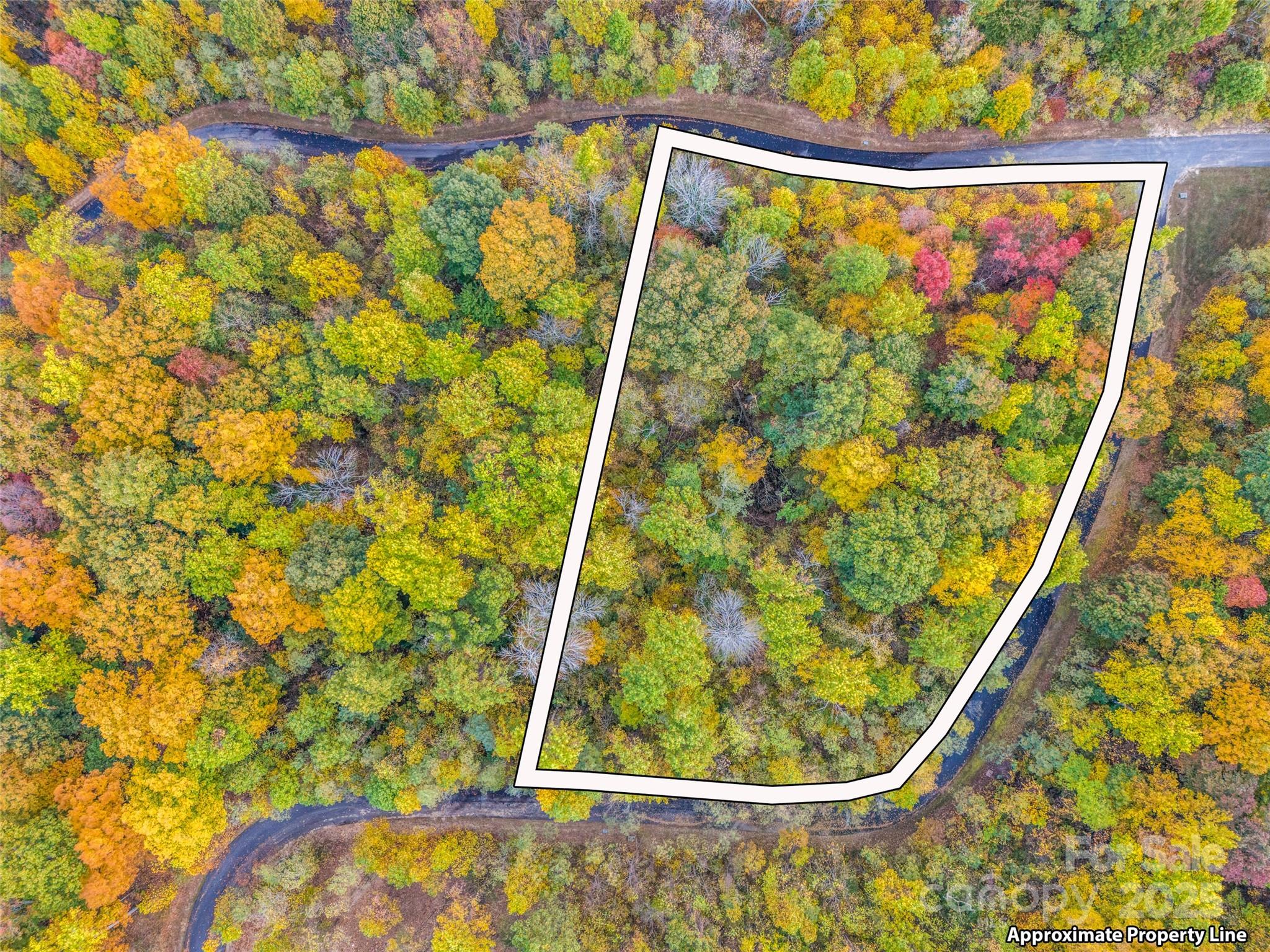2140 Harm Creek Loop — Mill Spring