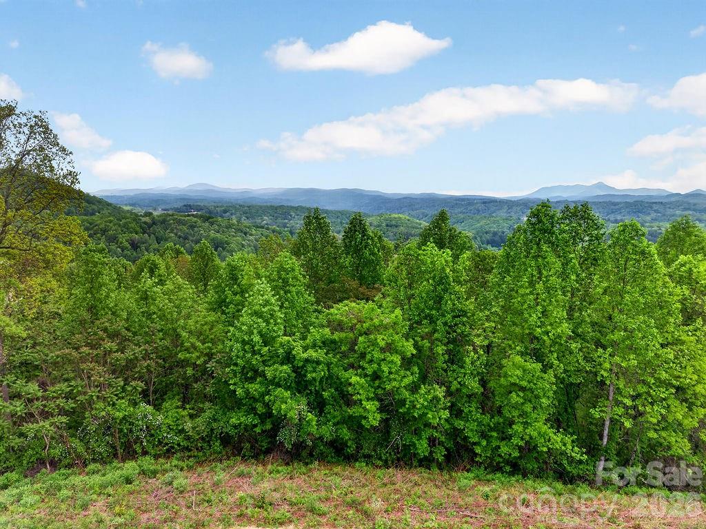 5481 Greenville Highway — Zirconia