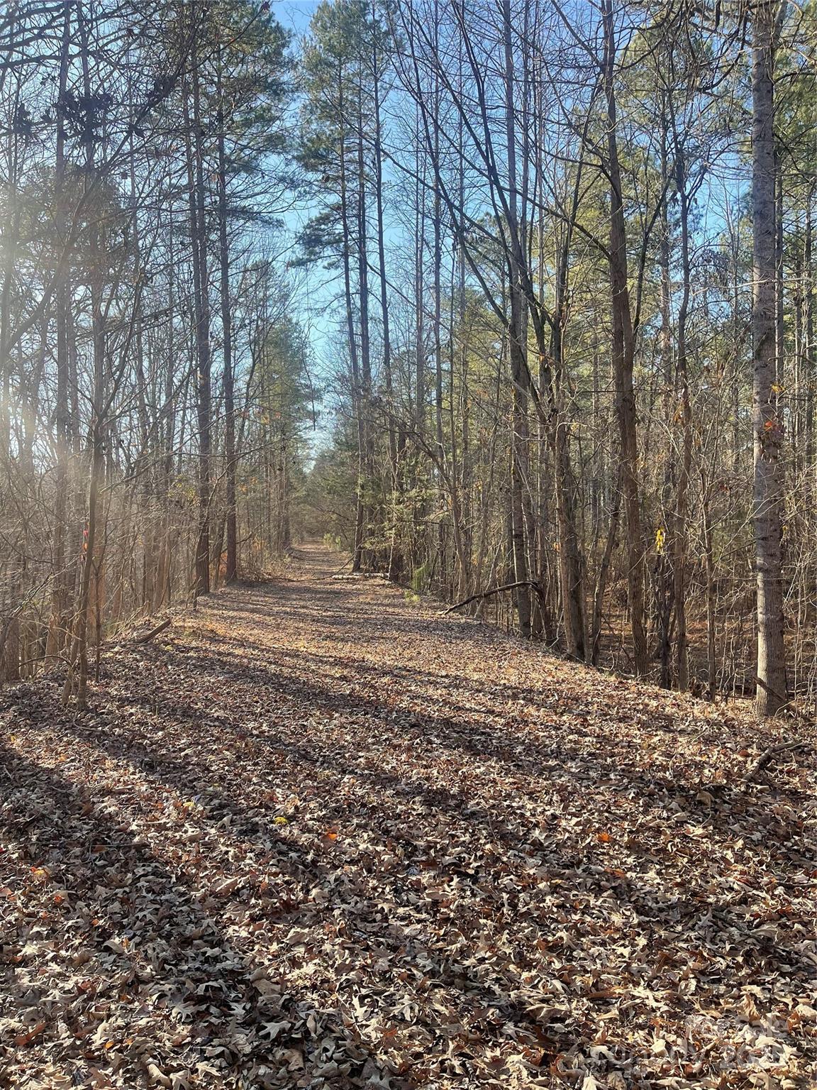 1386 Old Pinckney Road — York