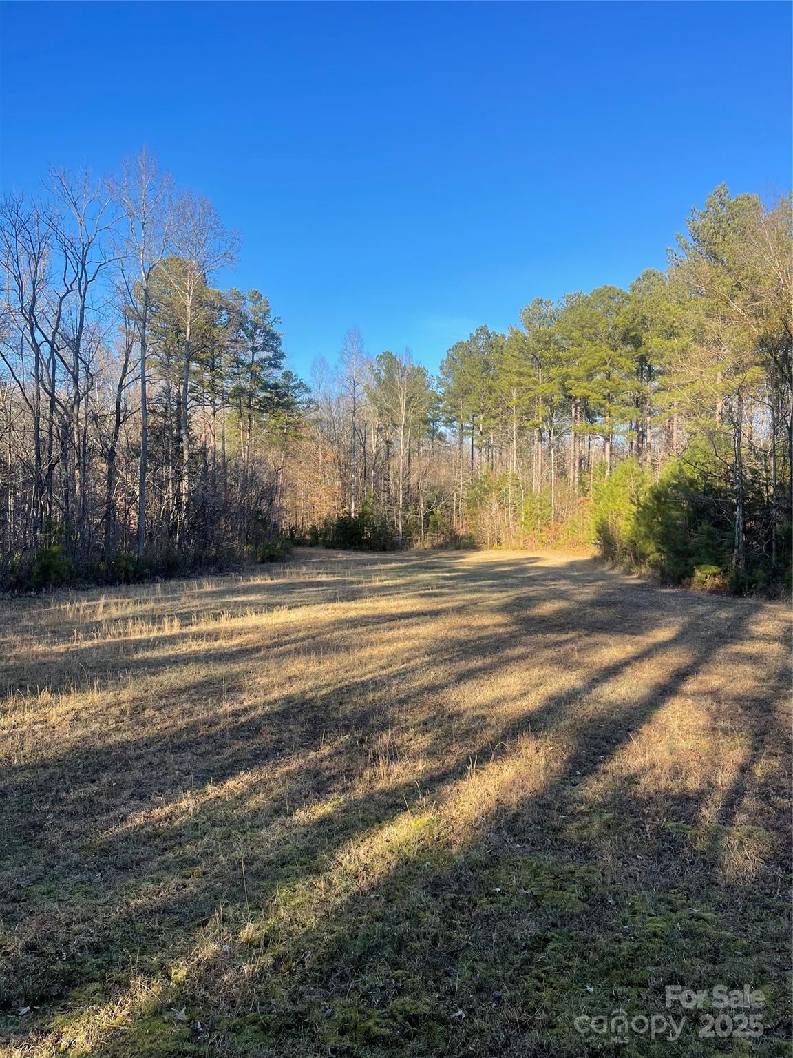 1386 Old Pinckney Road — York