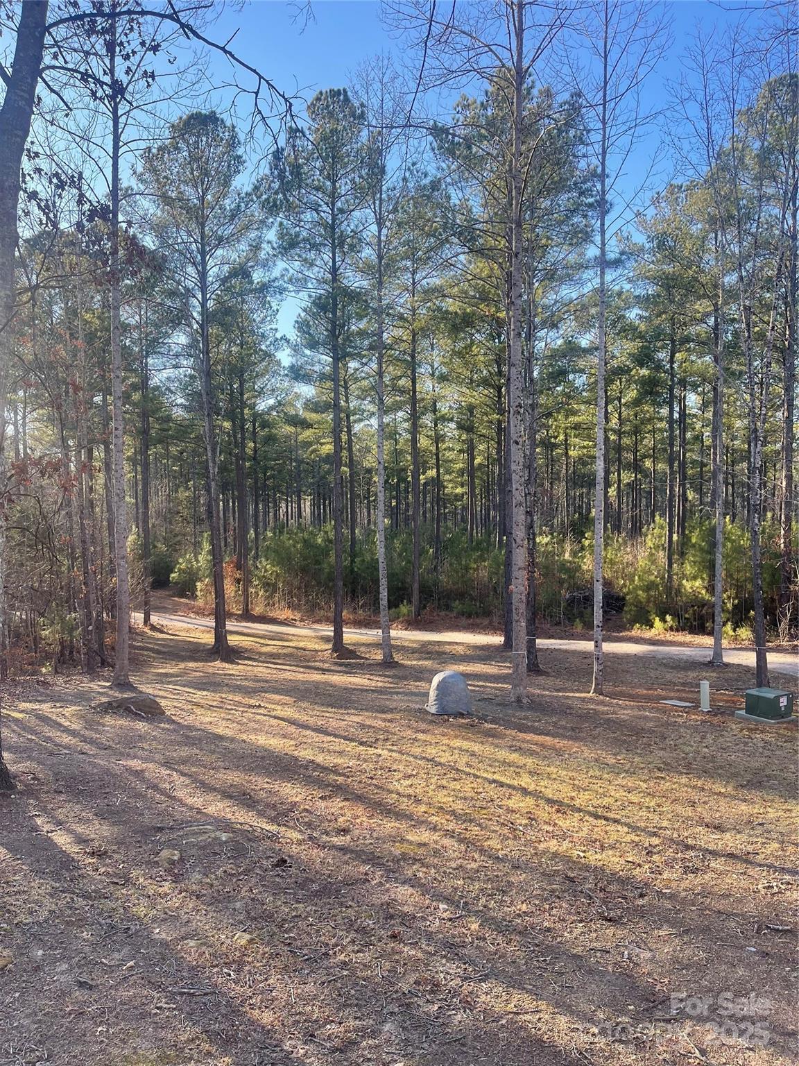 1386 Old Pinckney Road — York
