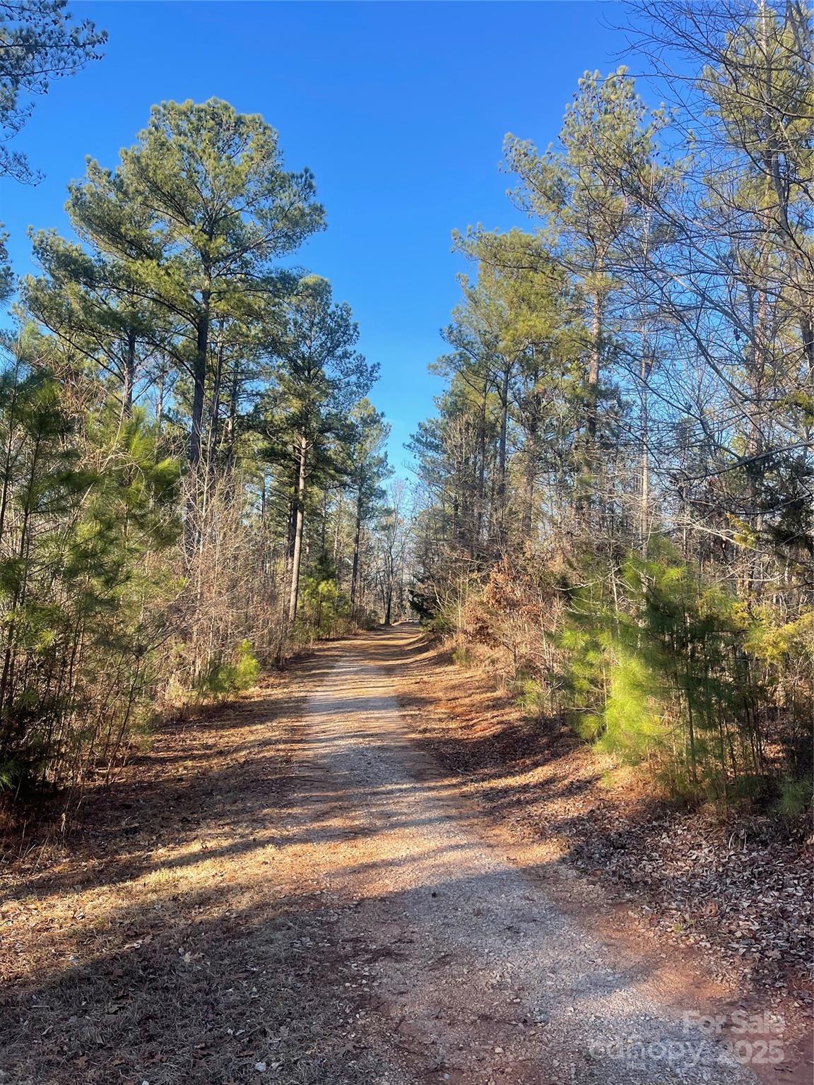 1386 Old Pinckney Road — York