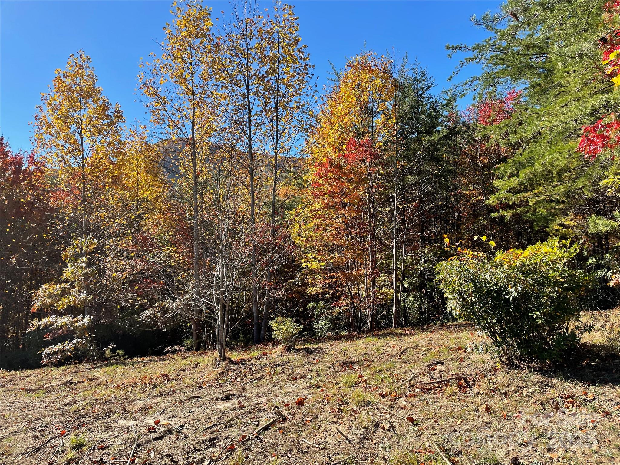 00 Birkdale Drive #159 — Mill Spring