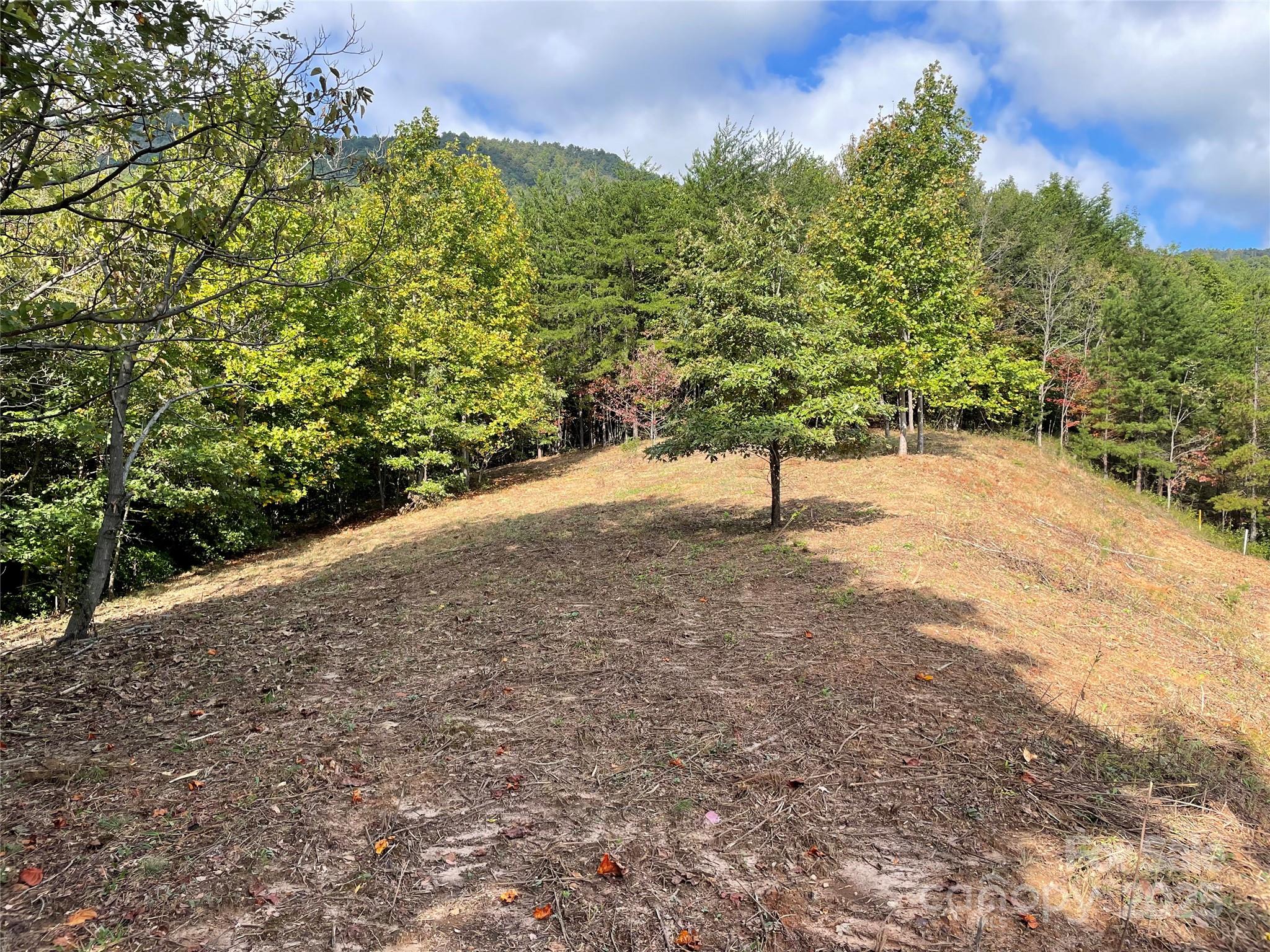 00 Birkdale Drive #159 — Mill Spring