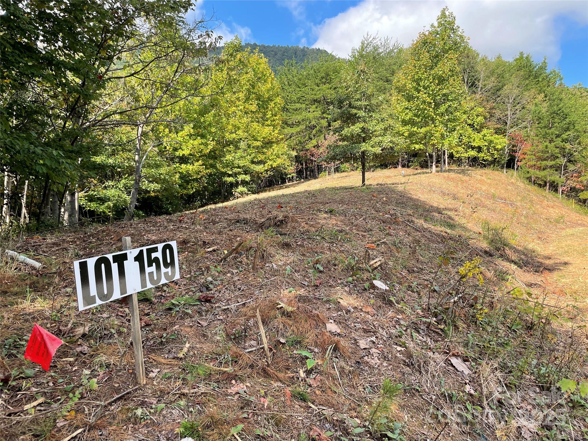 00 Birkdale Drive #159 — Mill Spring