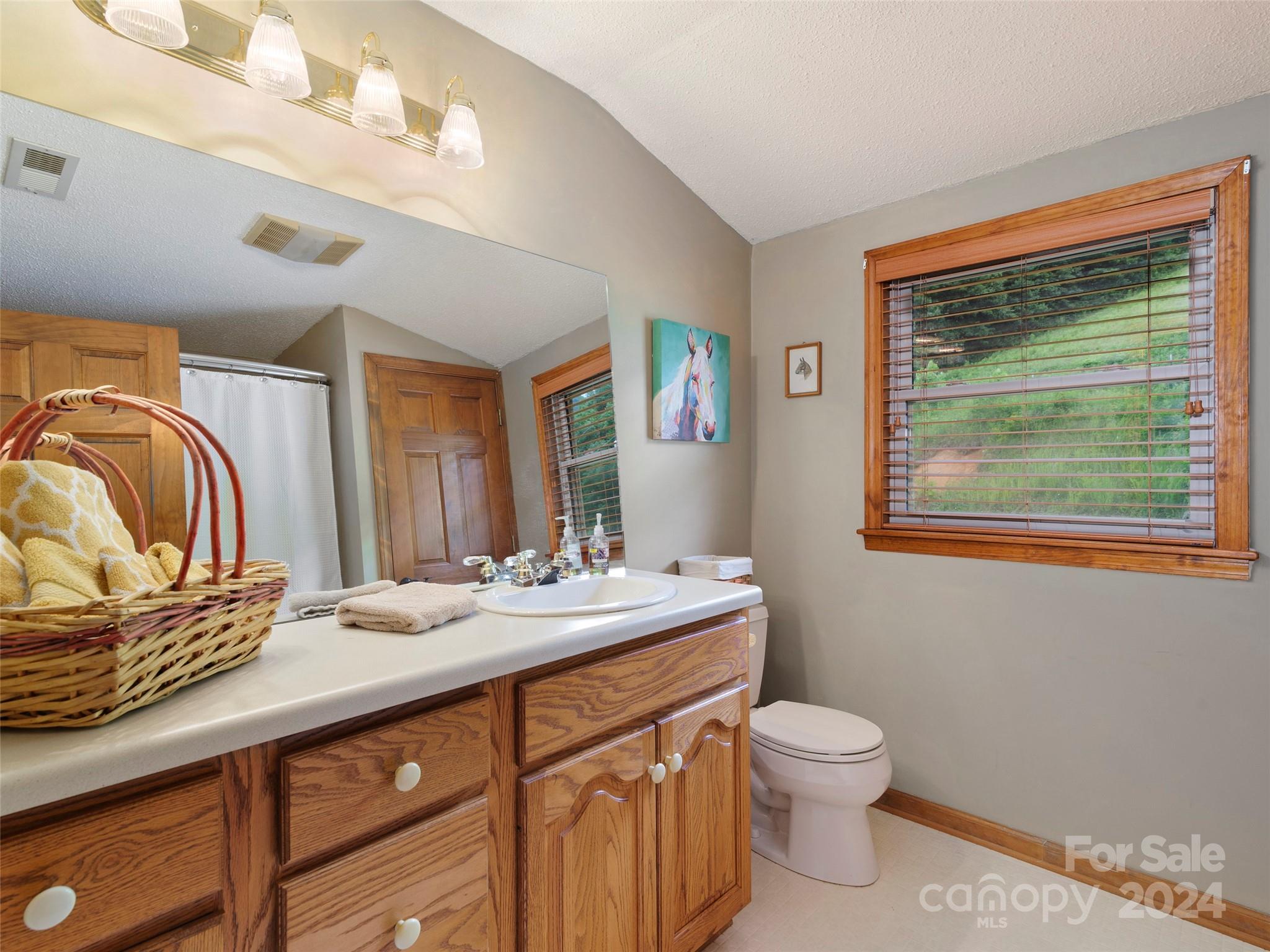 317 Camp Branch Road — Clyde