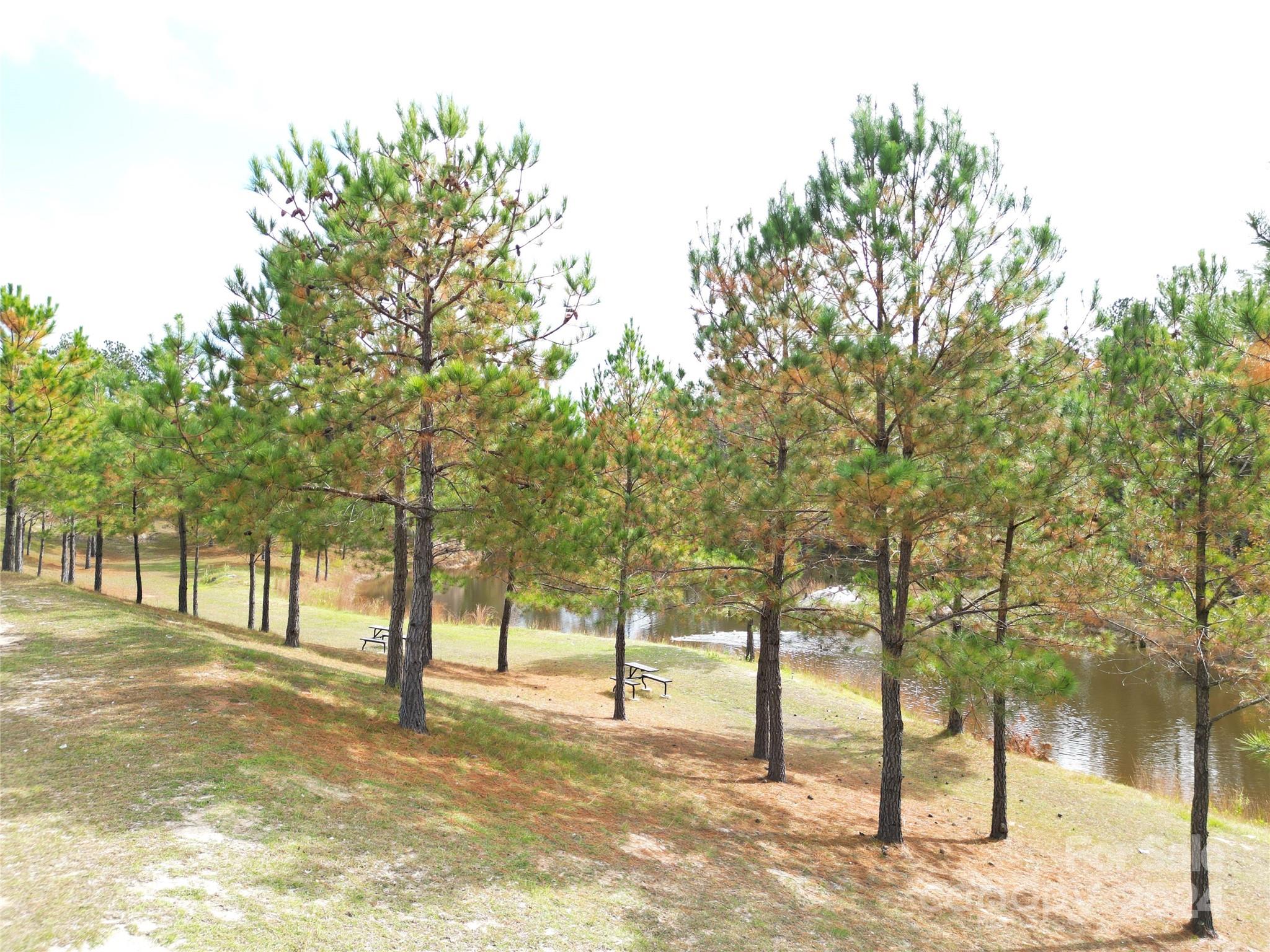 2034 Haileys Ferry Road — Lilesville