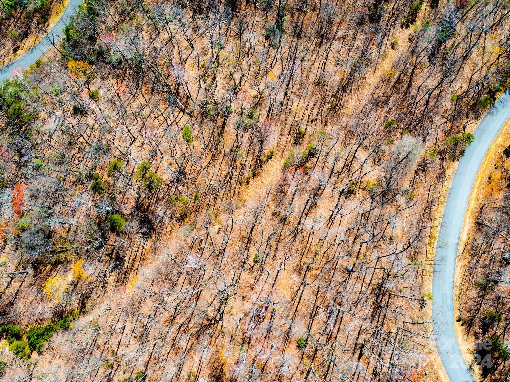 2101 Harm Creek Loop — Mill Spring