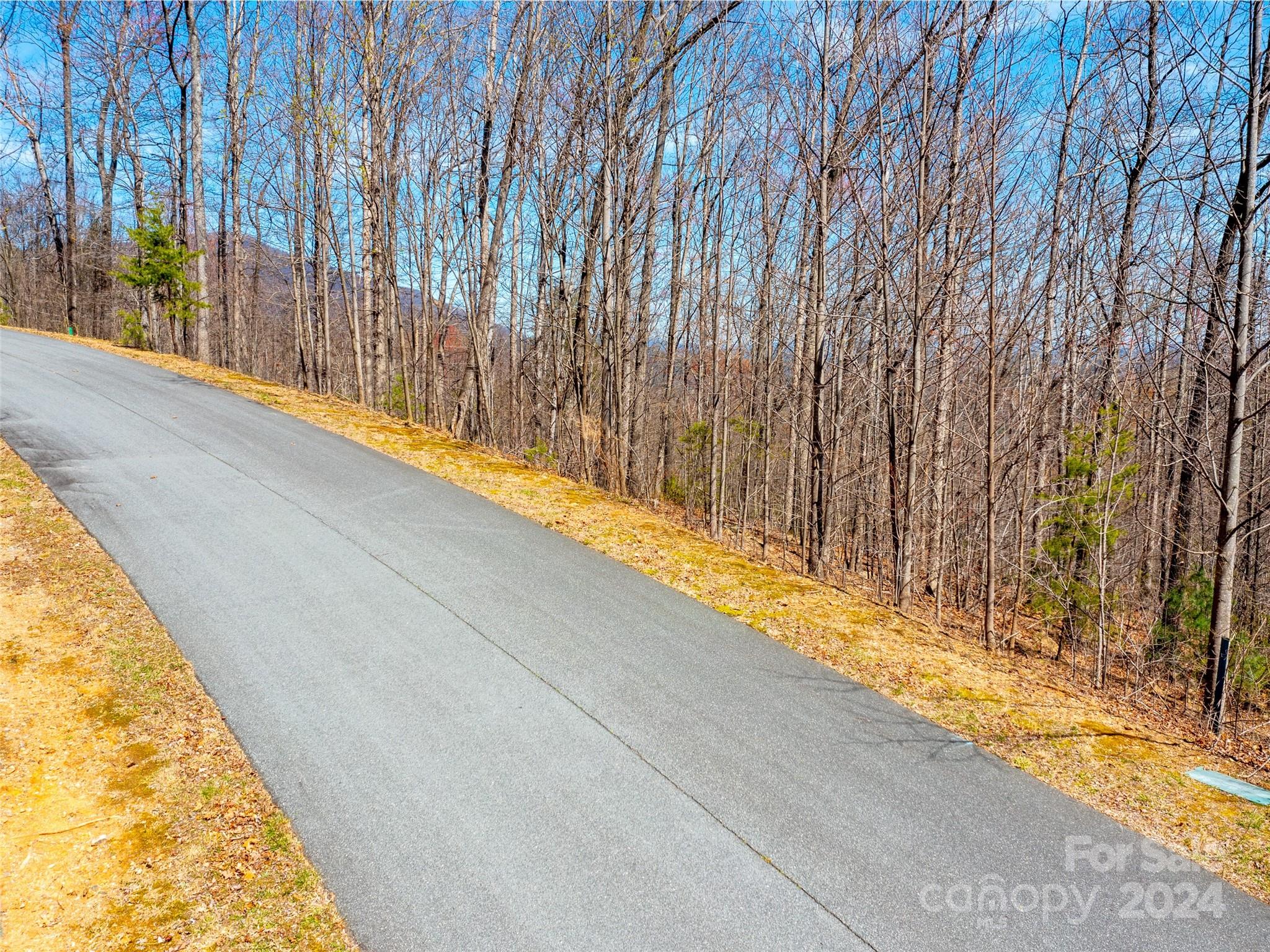 2101 Harm Creek Loop — Mill Spring