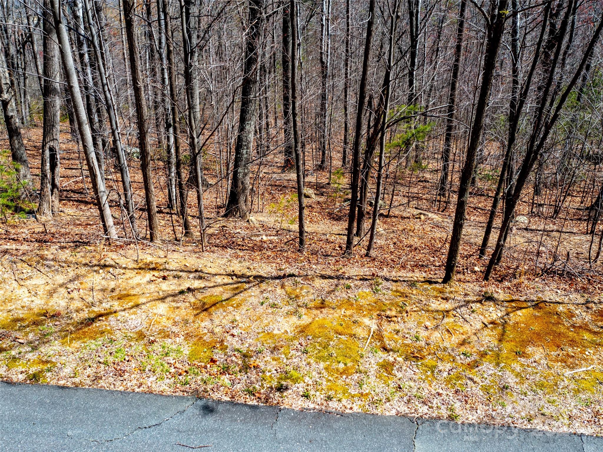2101 Harm Creek Loop — Mill Spring