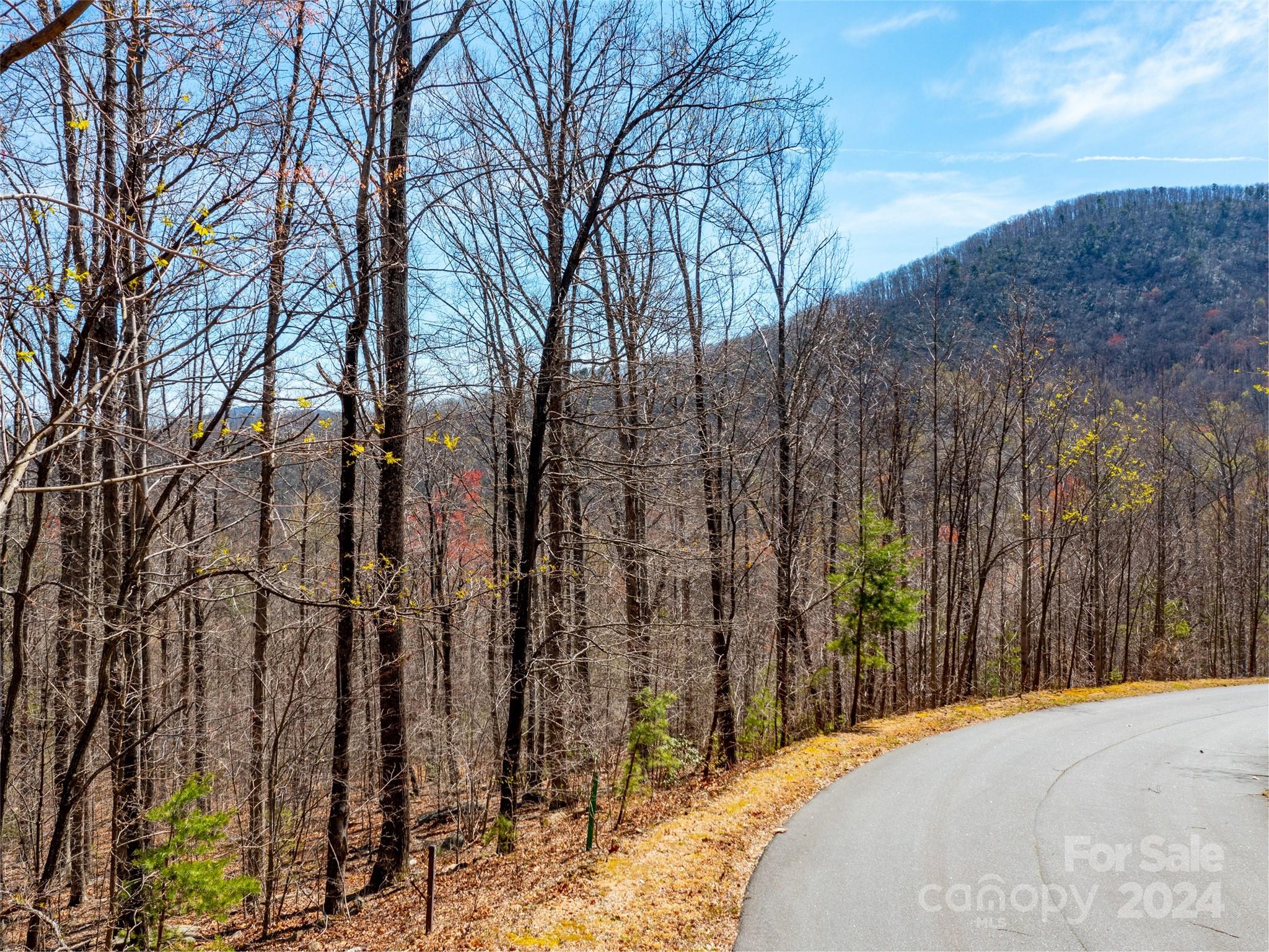 2101 Harm Creek Loop — Mill Spring