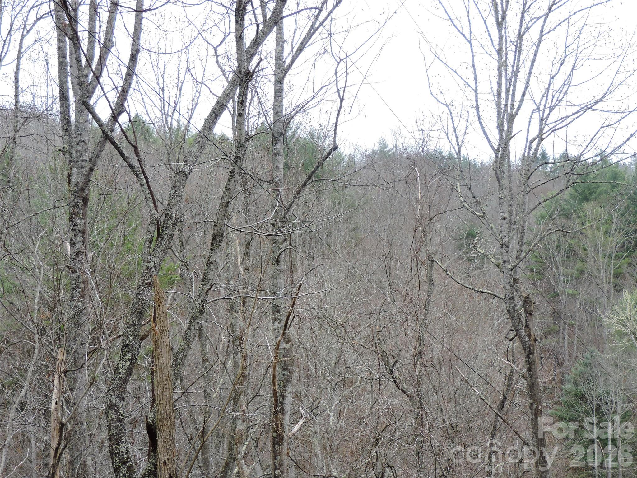 2271 Gouges Creek Road — Spruce Pine