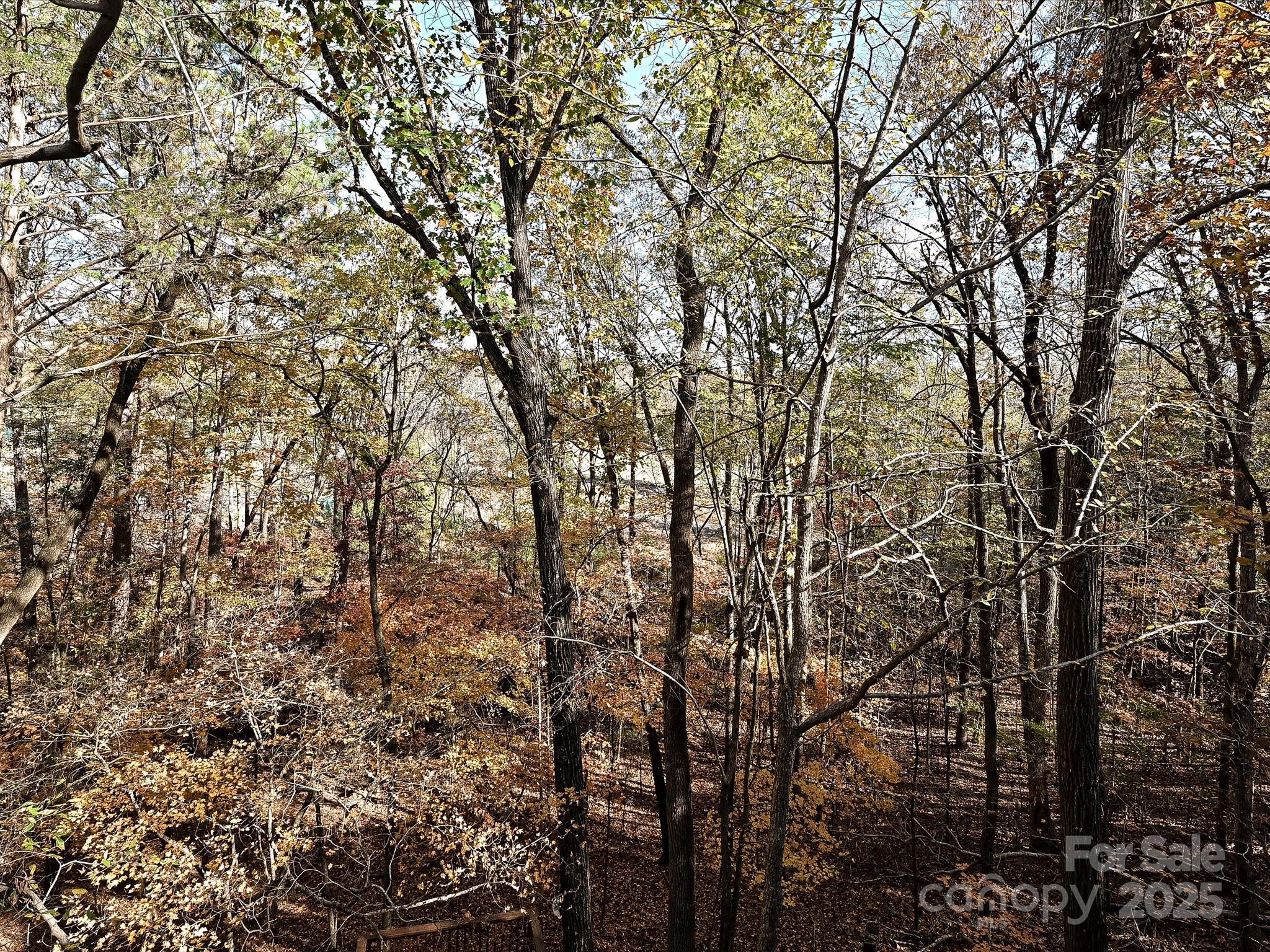 25040 Timberlake Drive — Tega Cay