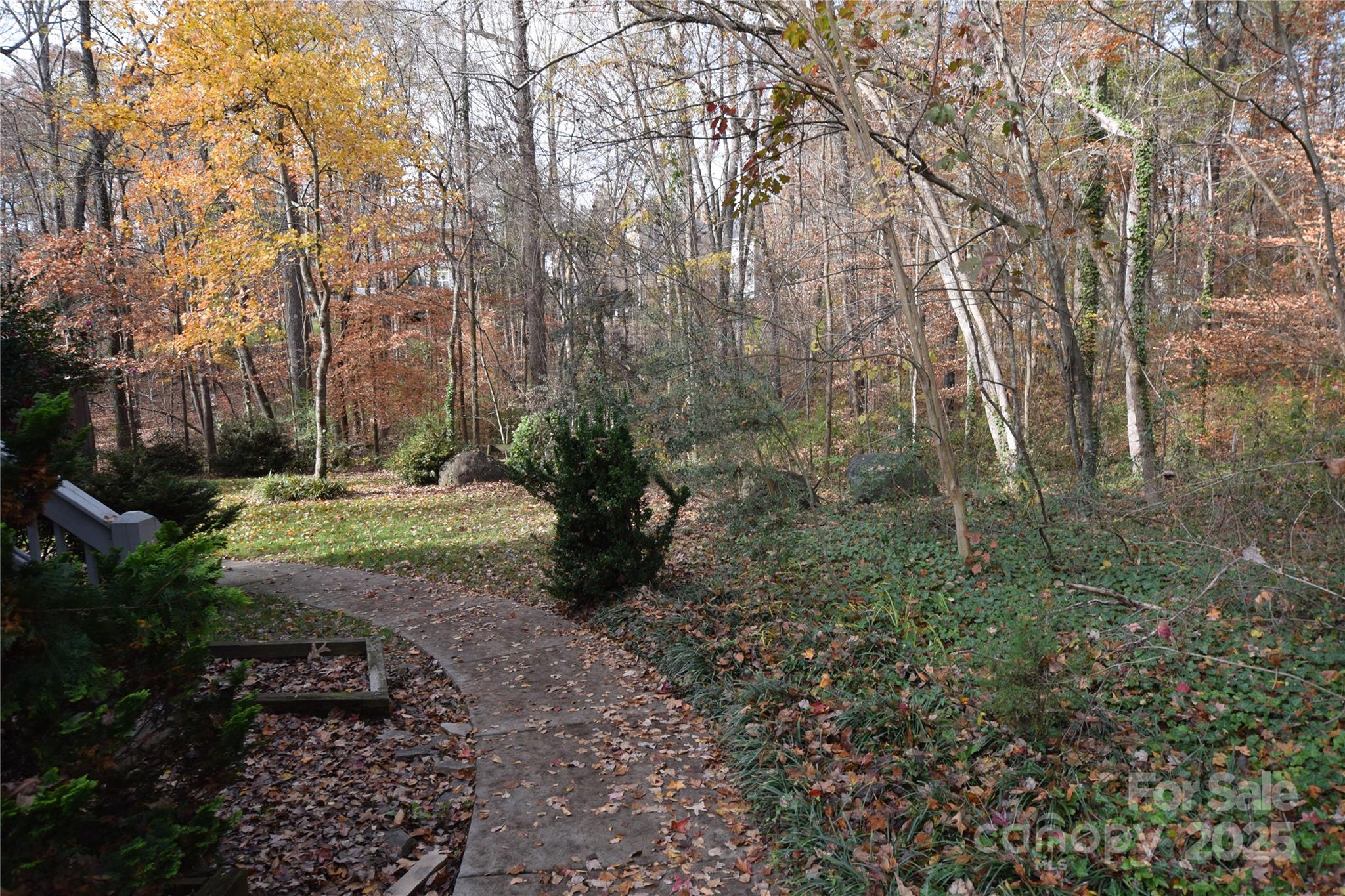 809 Pine Forest Road — Charlotte