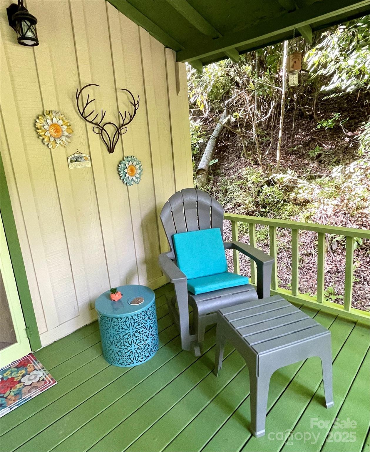 180 Valley Lane — Bryson City