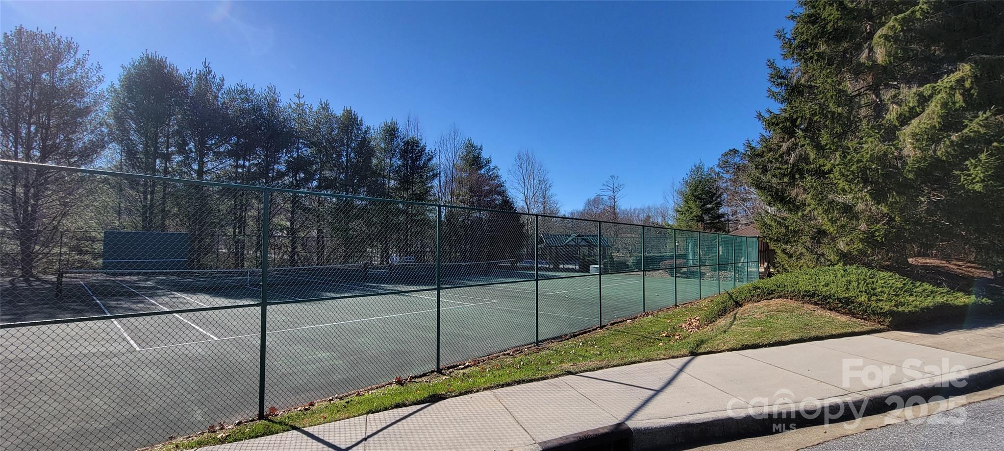 2306 Deermouse Way — Hendersonville