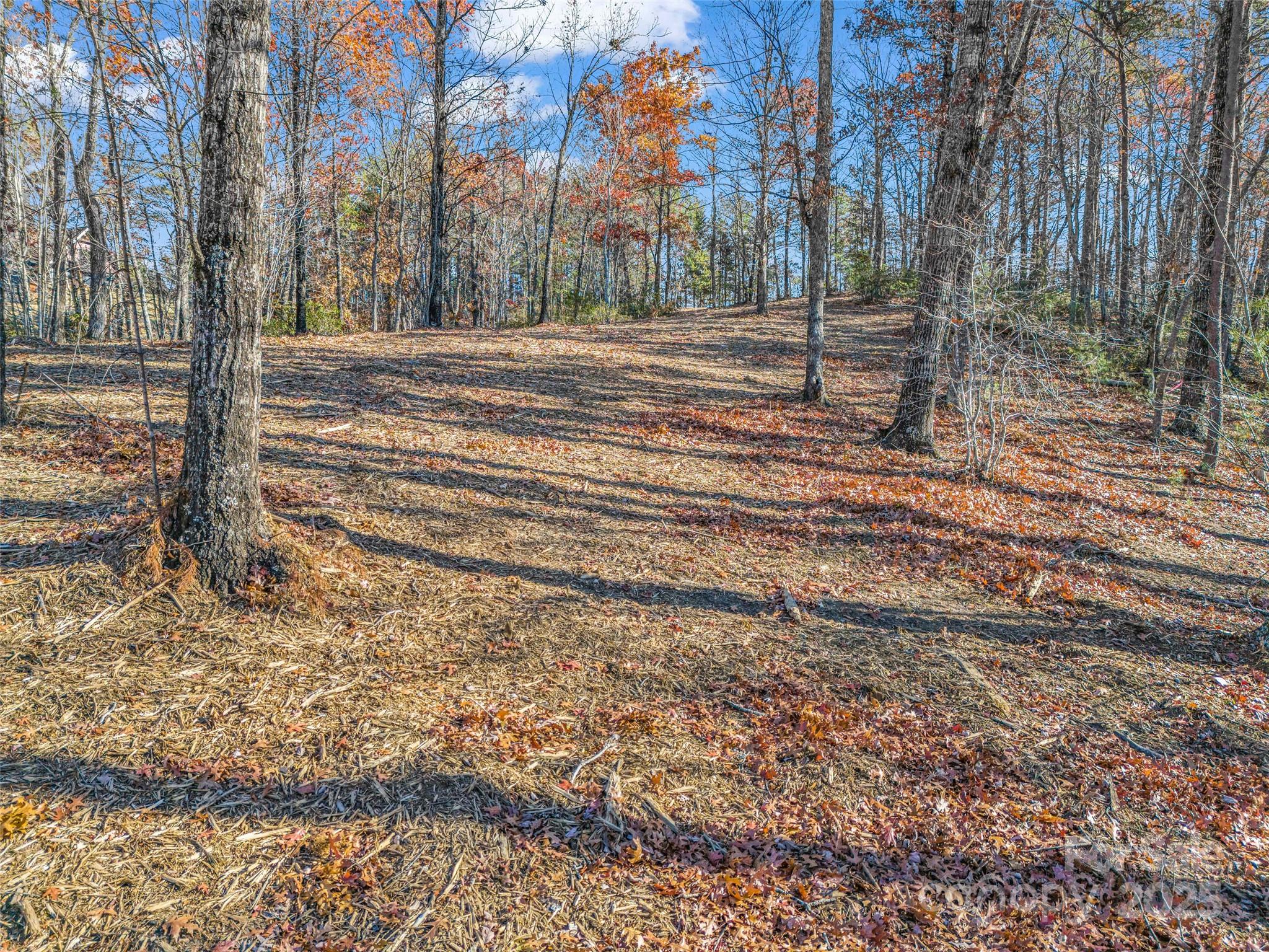 Lot 30 Deep Gap Farm Road E — Mill Spring